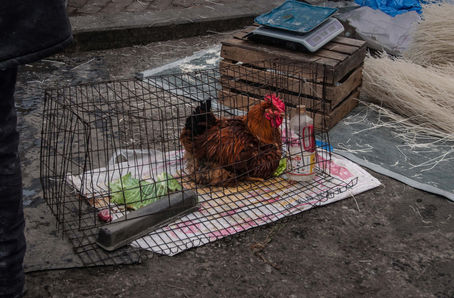estelle magnin photography china street 