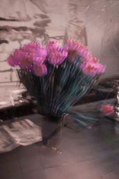 ESTELLE MAGNIN PHOTOGRAPHER