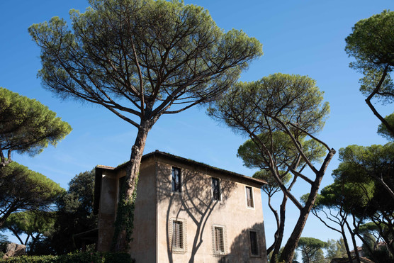 estelle magnin photography roma