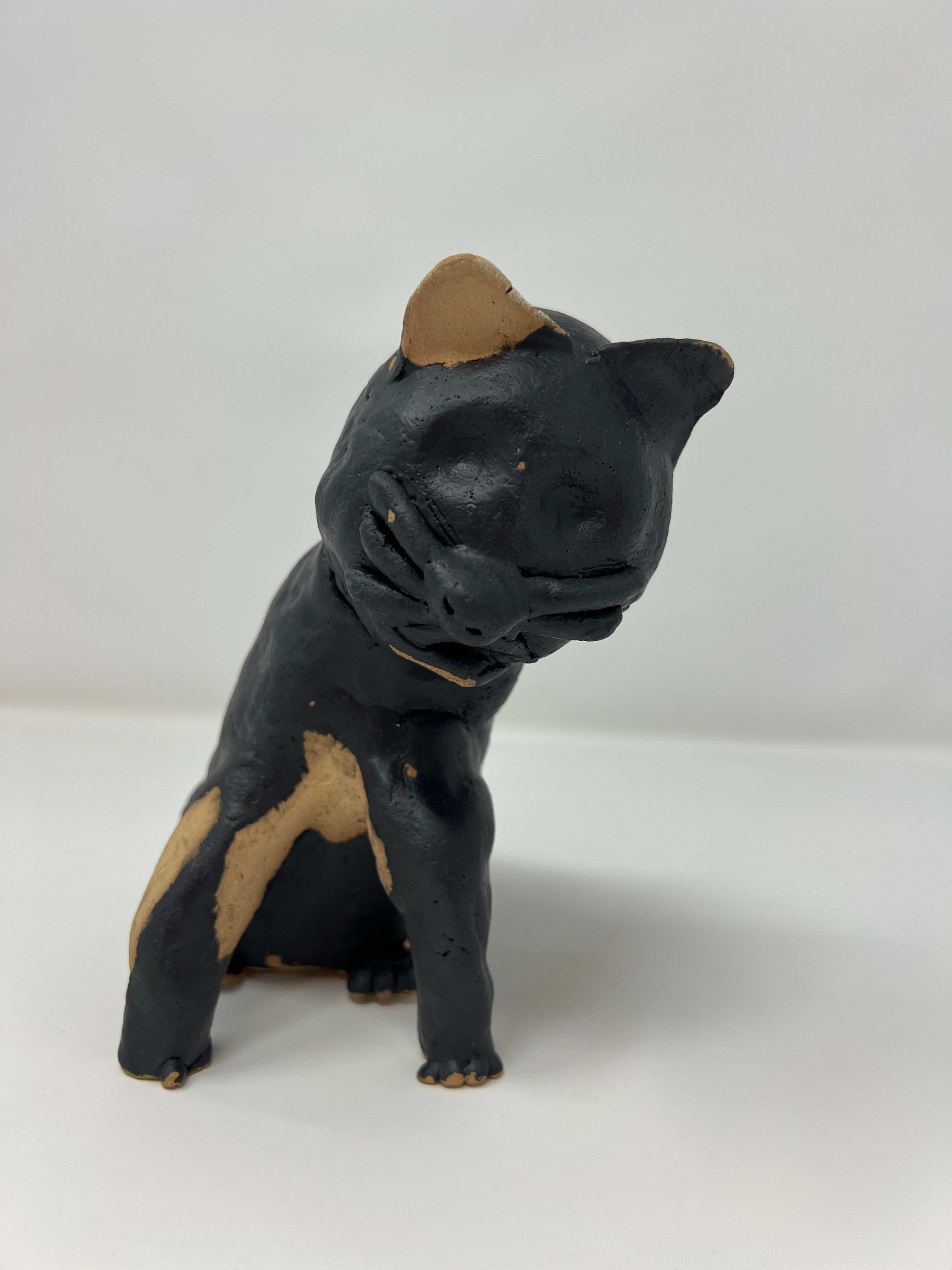 Cat sitting up right in black and tan