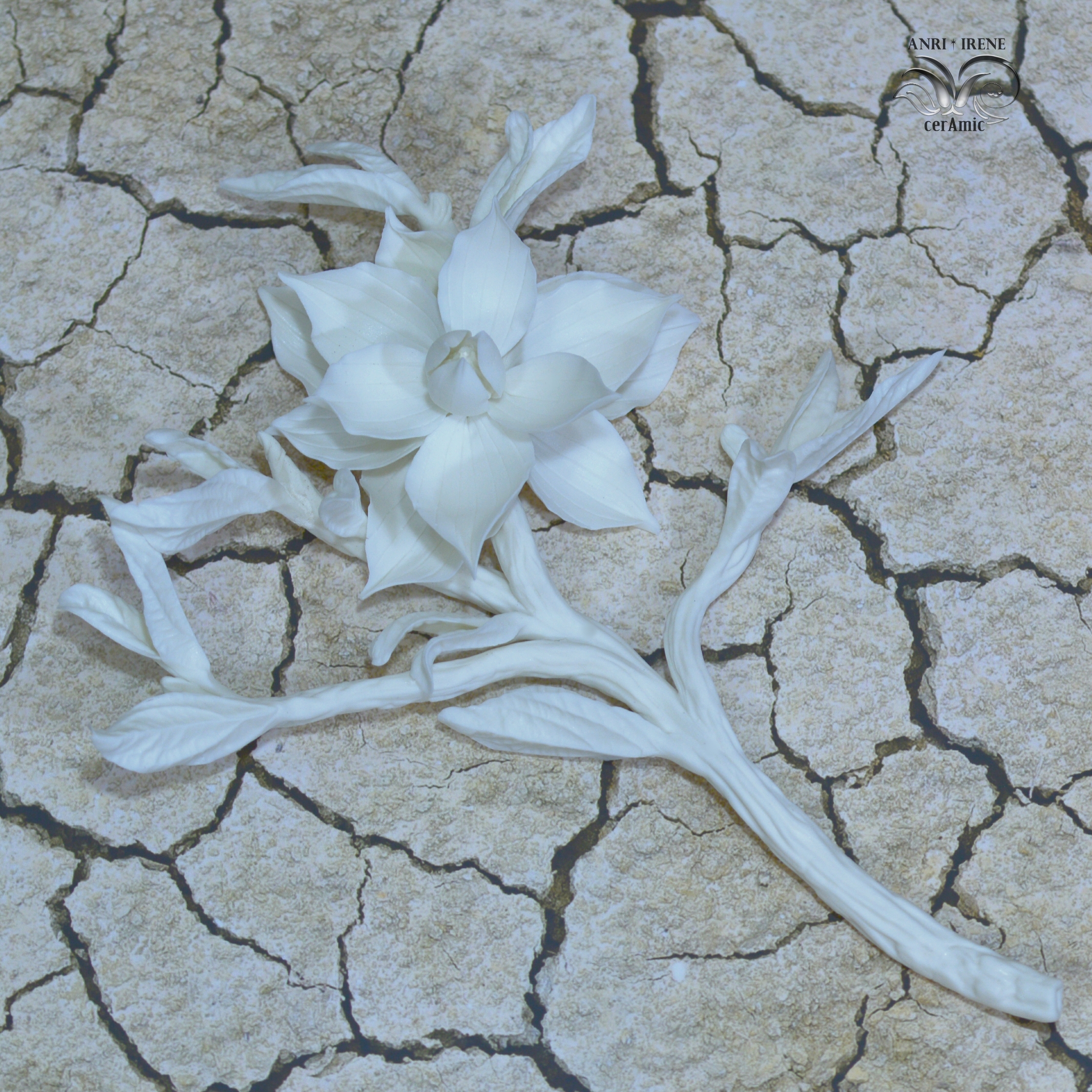 White porcelain magnolia