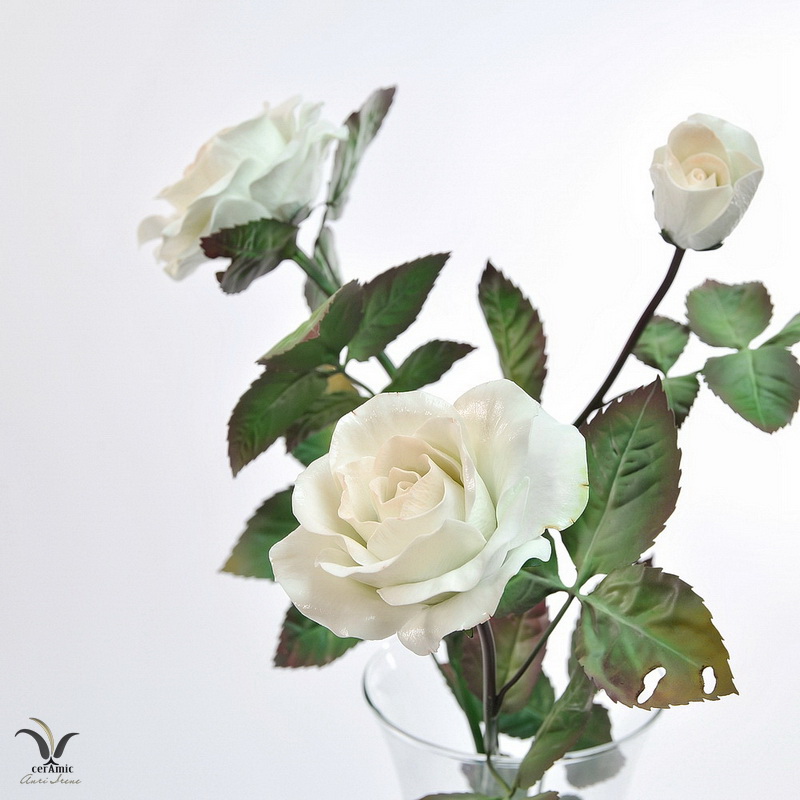 Porcelain peach rose