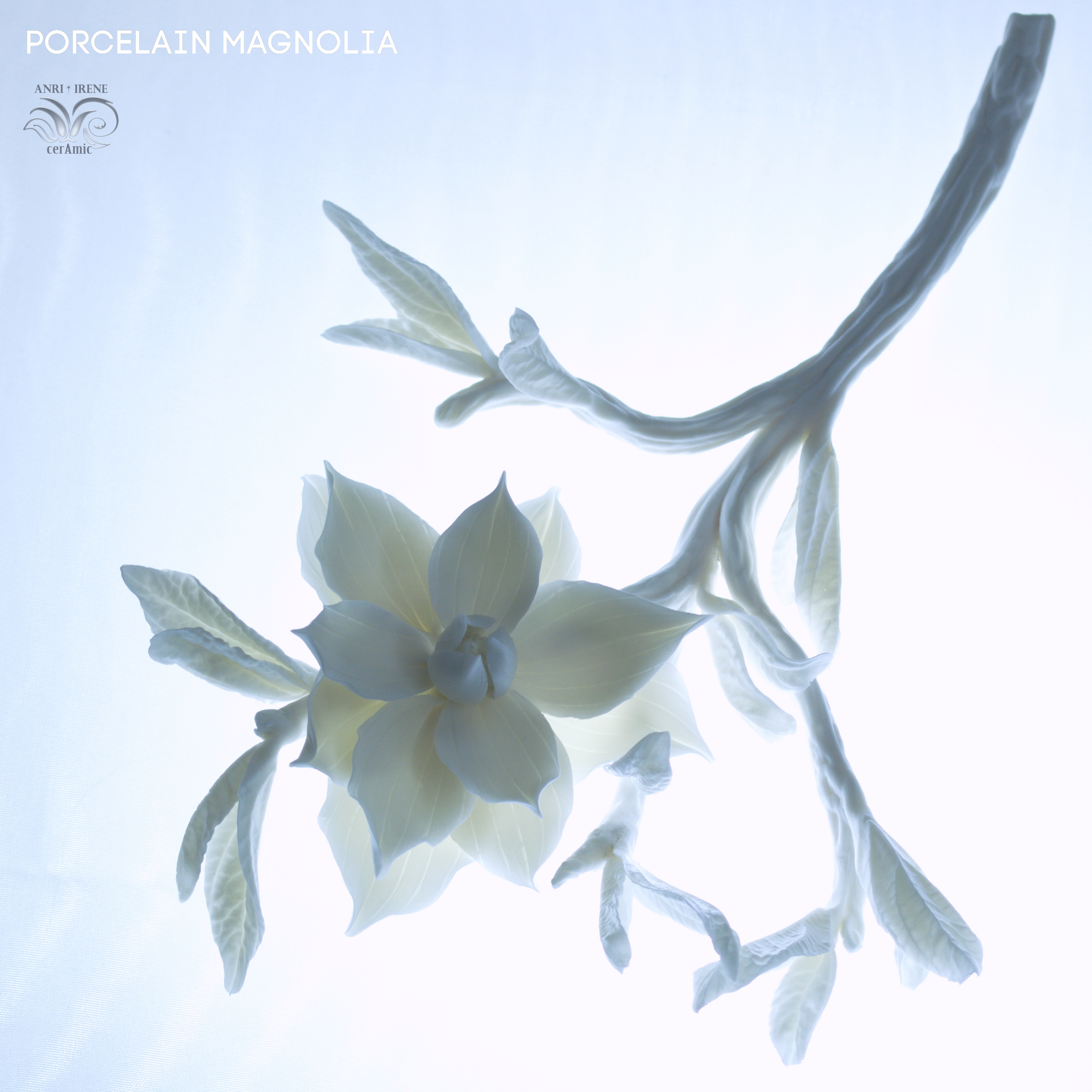 Porcelain magnolia