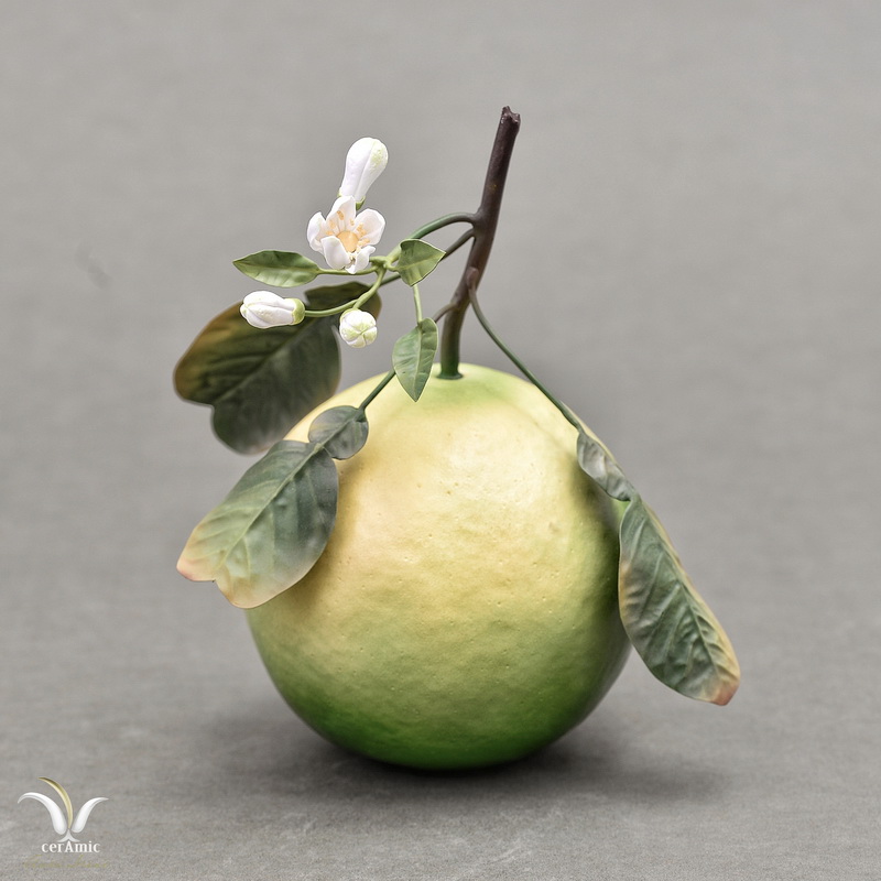 Porcelain grapefruit
