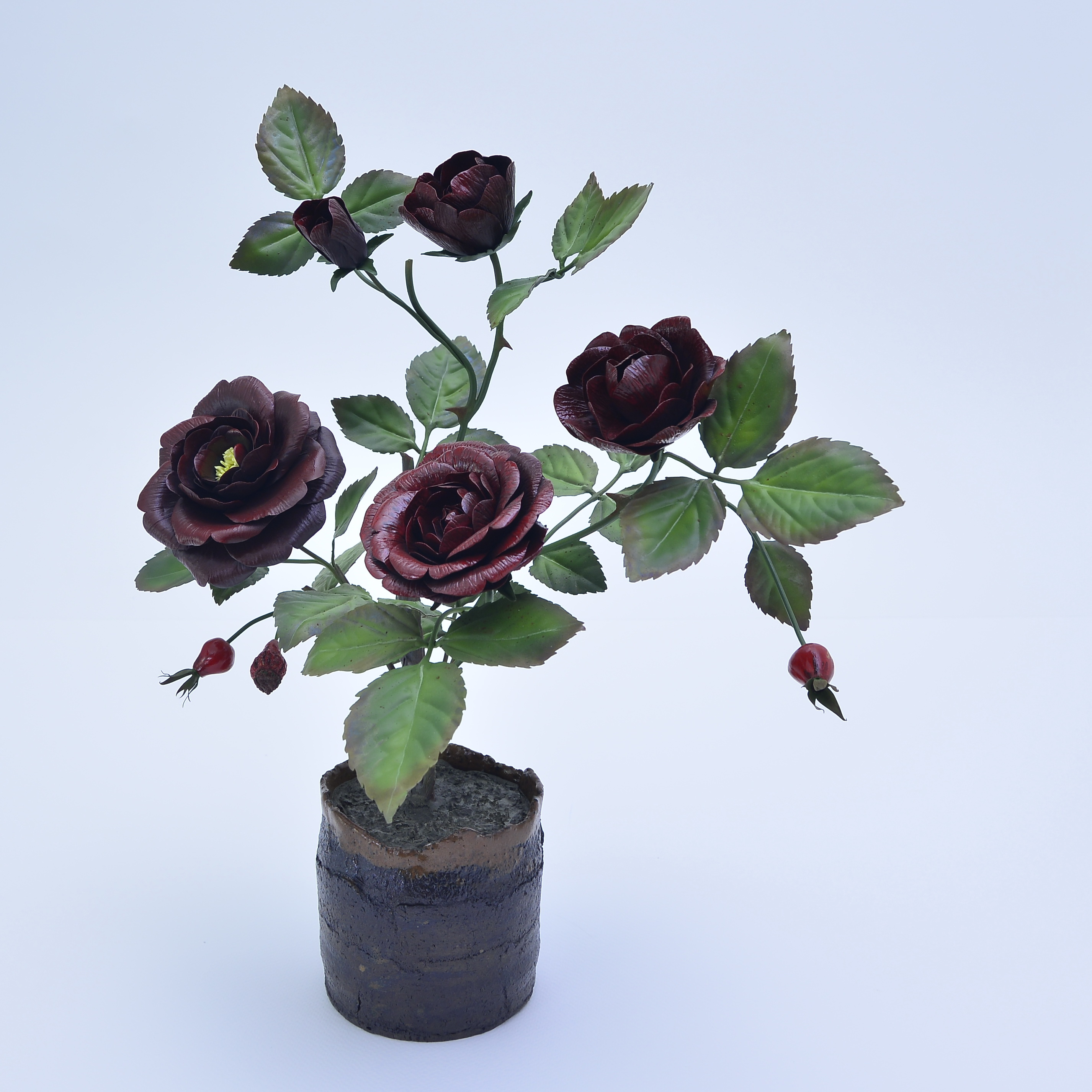 Burgundy black rose