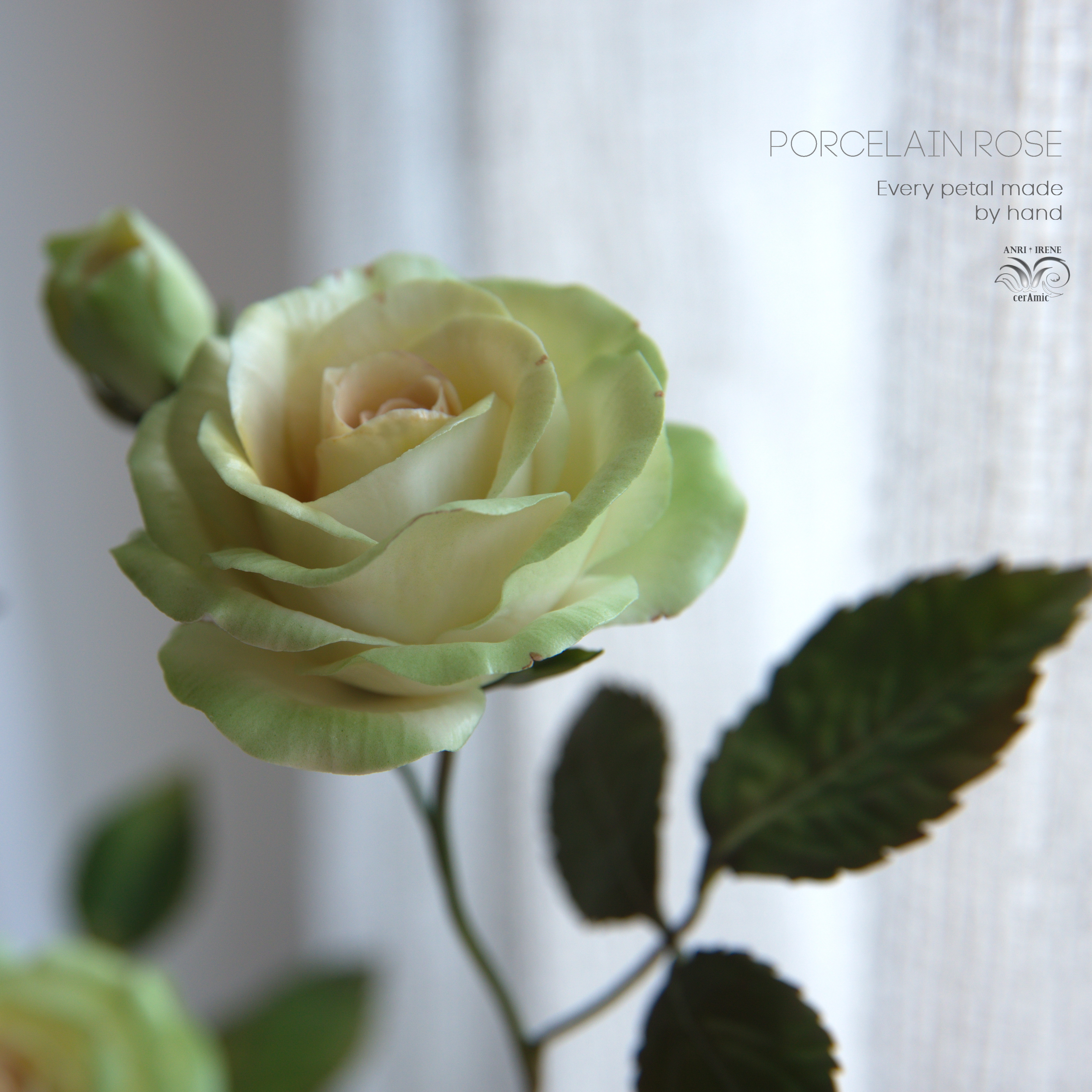 Porcelain green rose