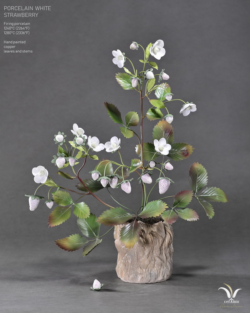 Porcelain white strawberry