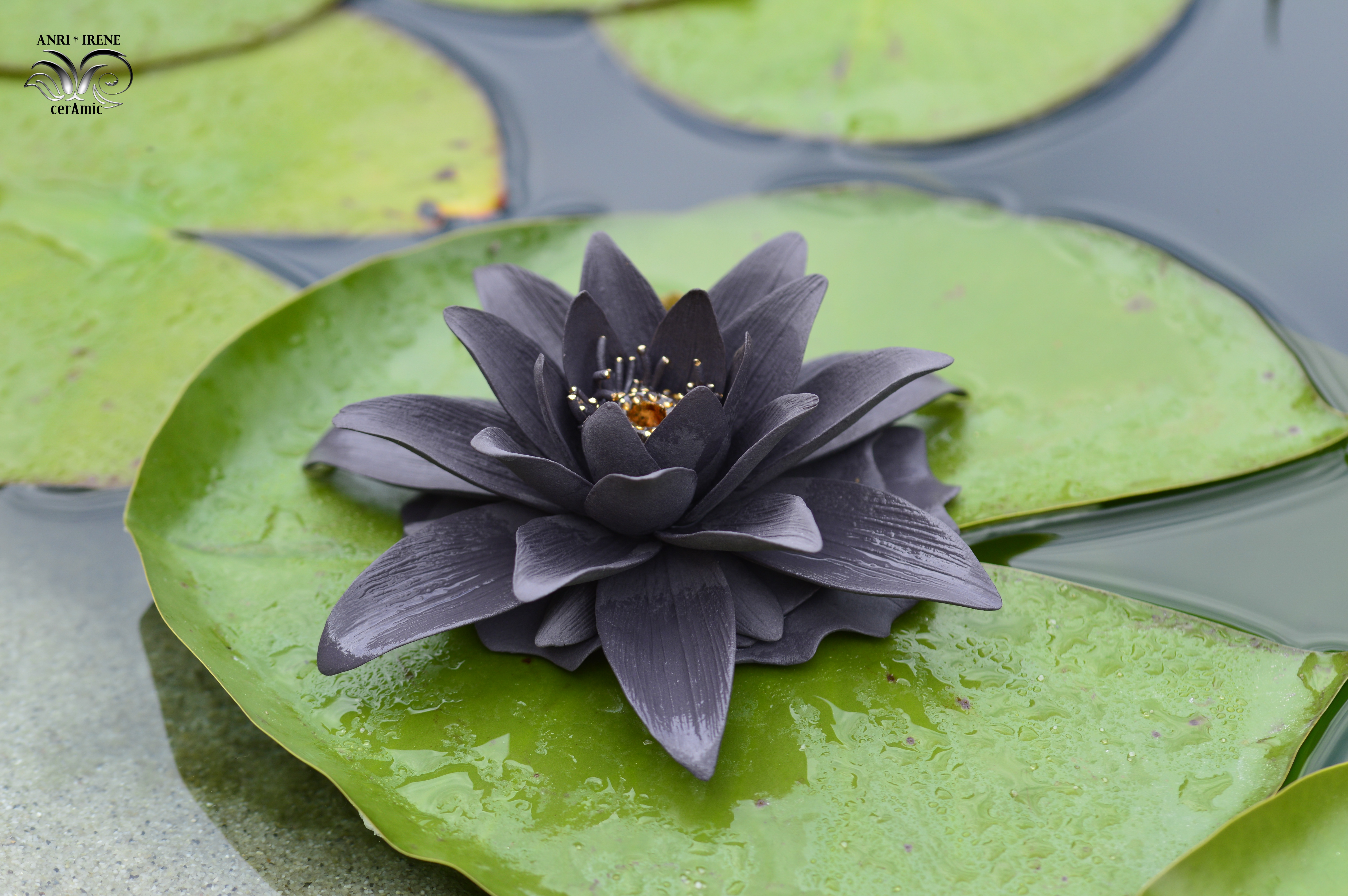 Ceramic lotus