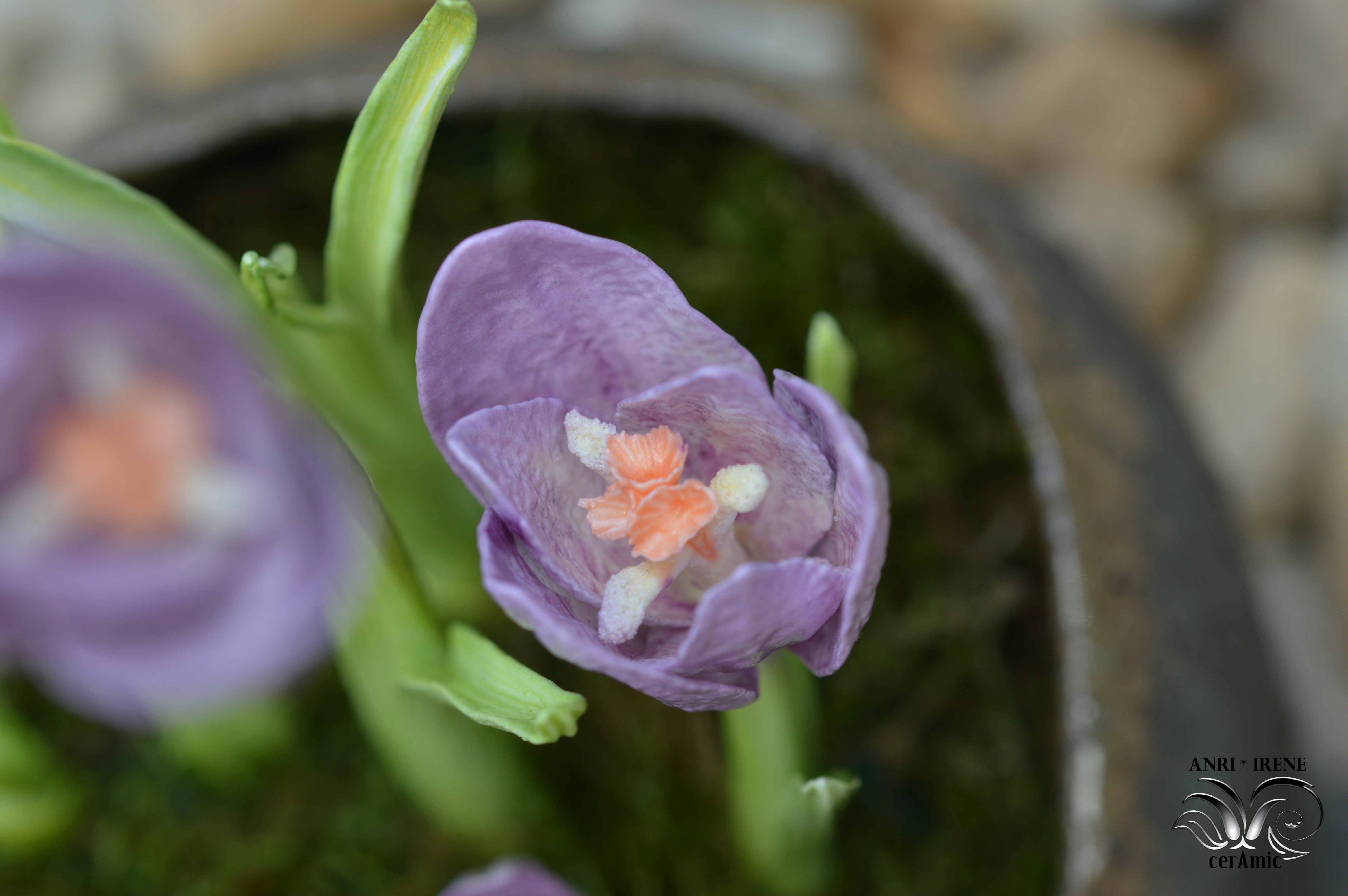 Porcelain crocuses details