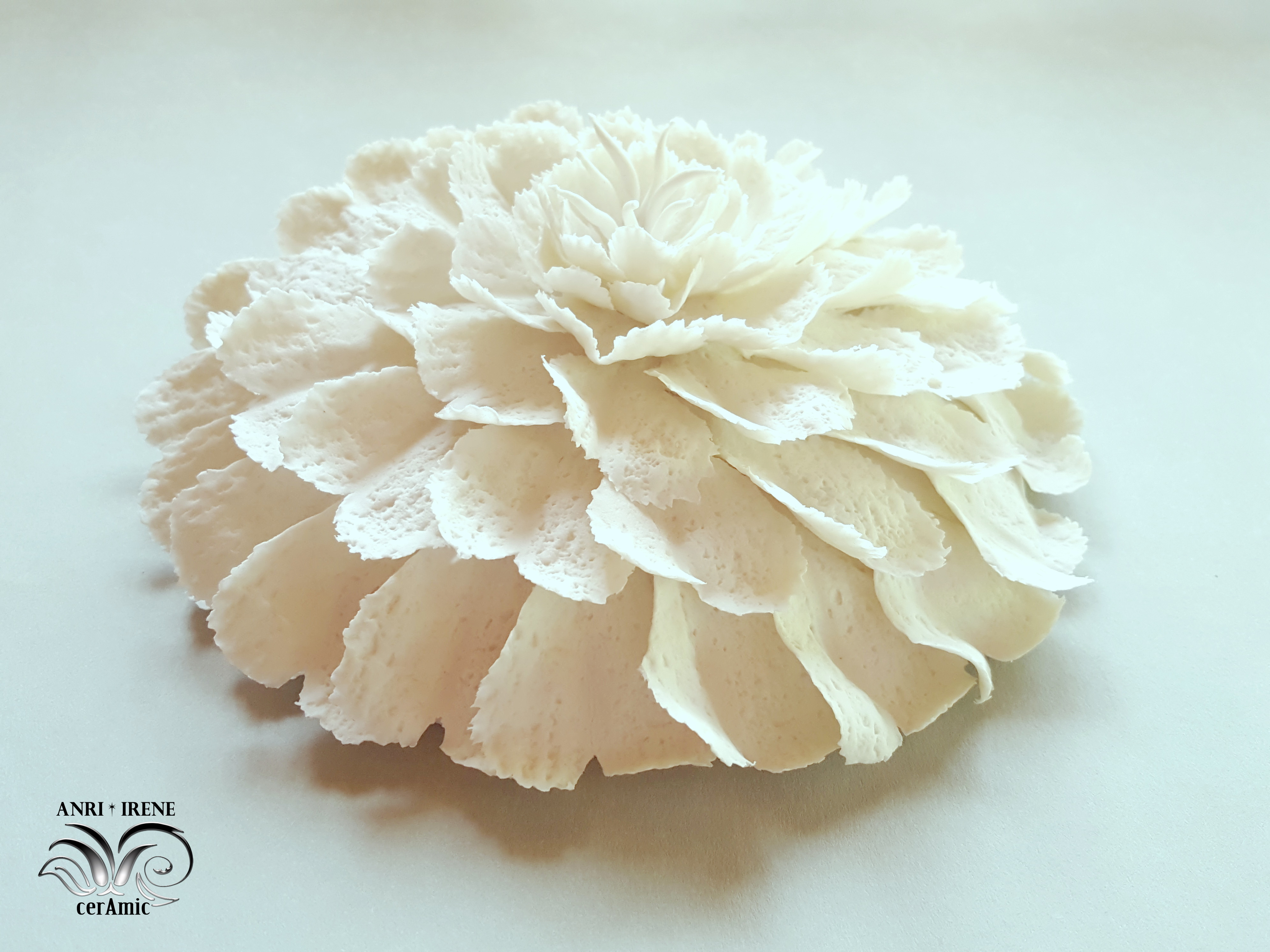 porcelaine fleurs
