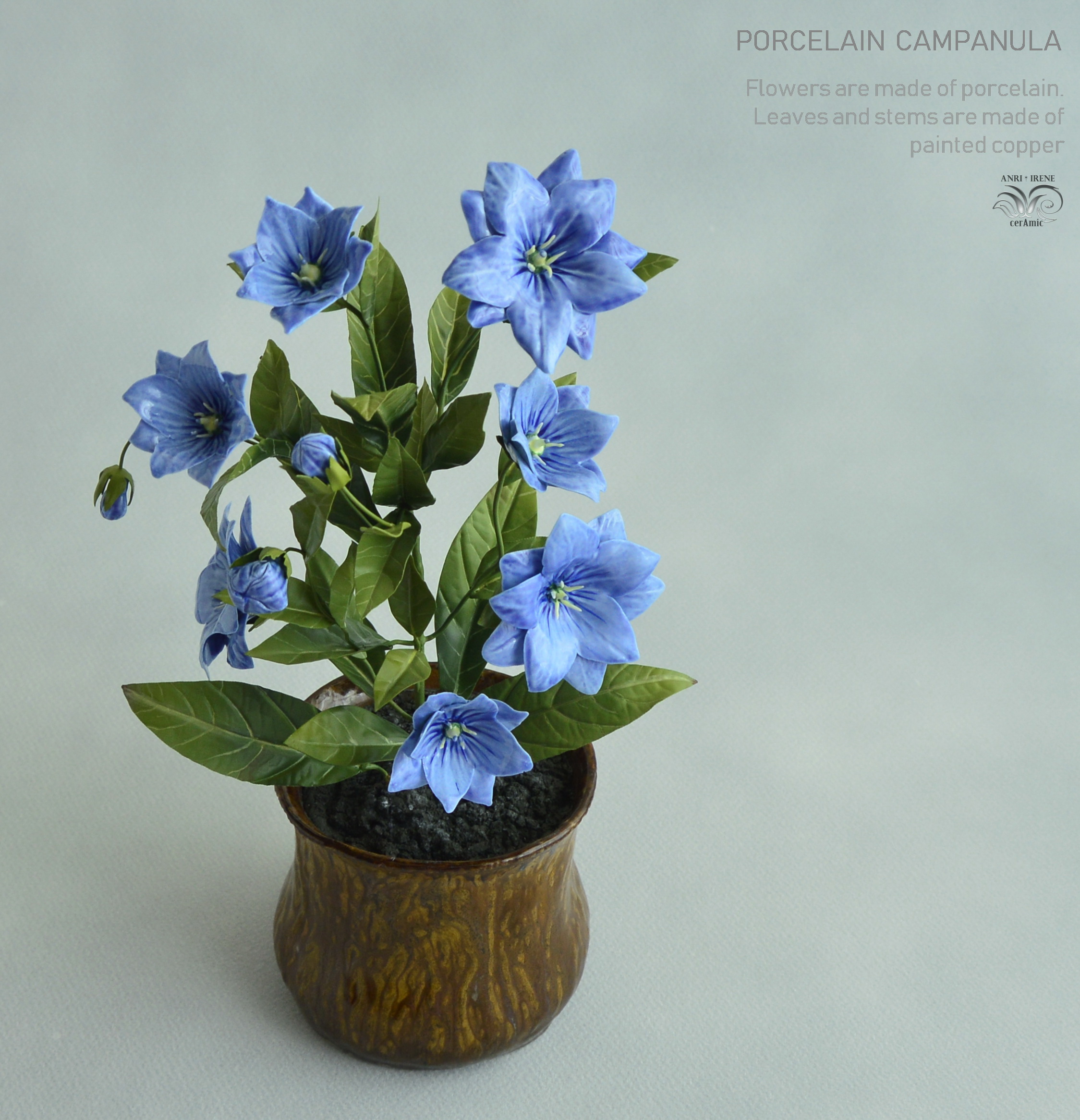 Porcelain campanula