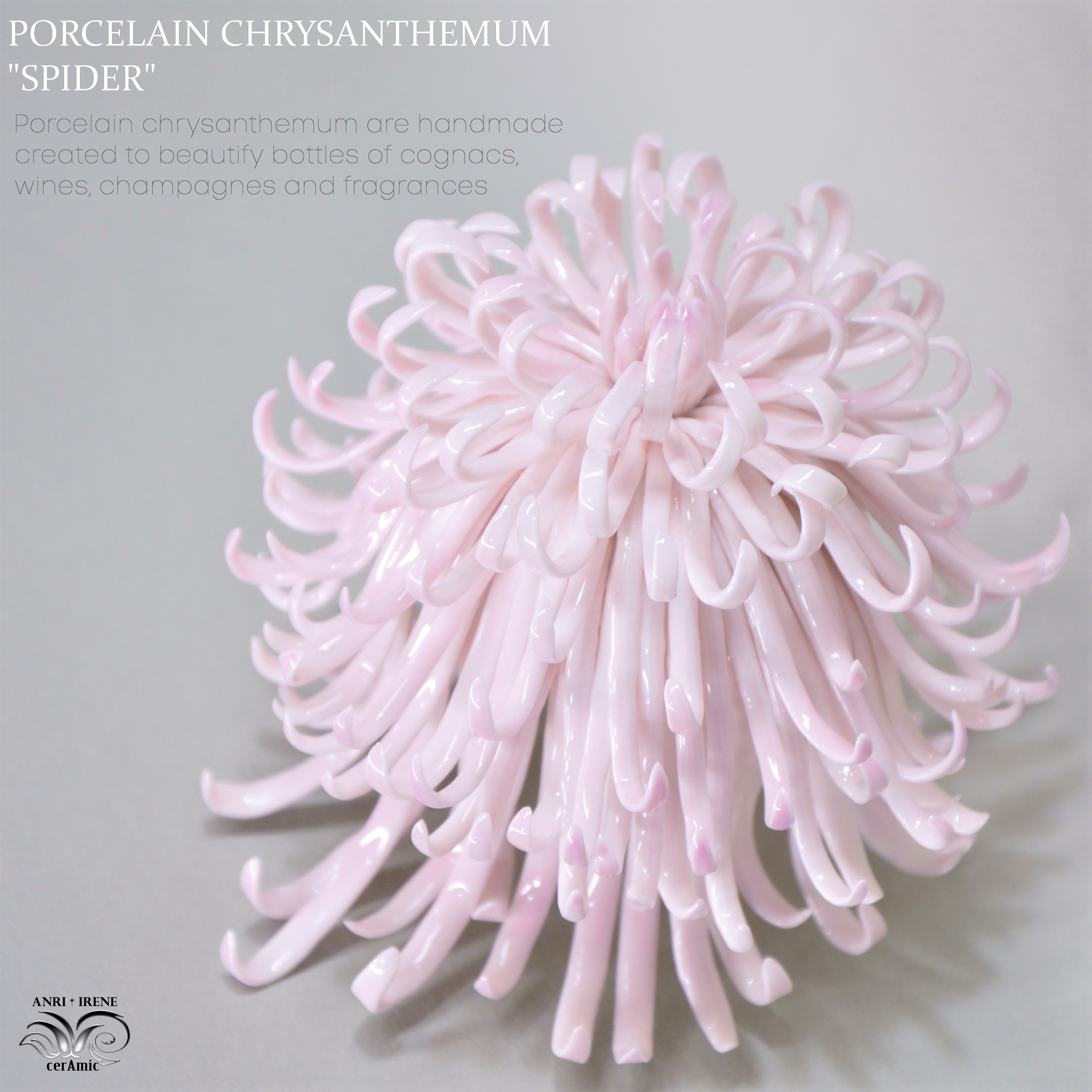 Porcelain chrysanthemum "Spider"