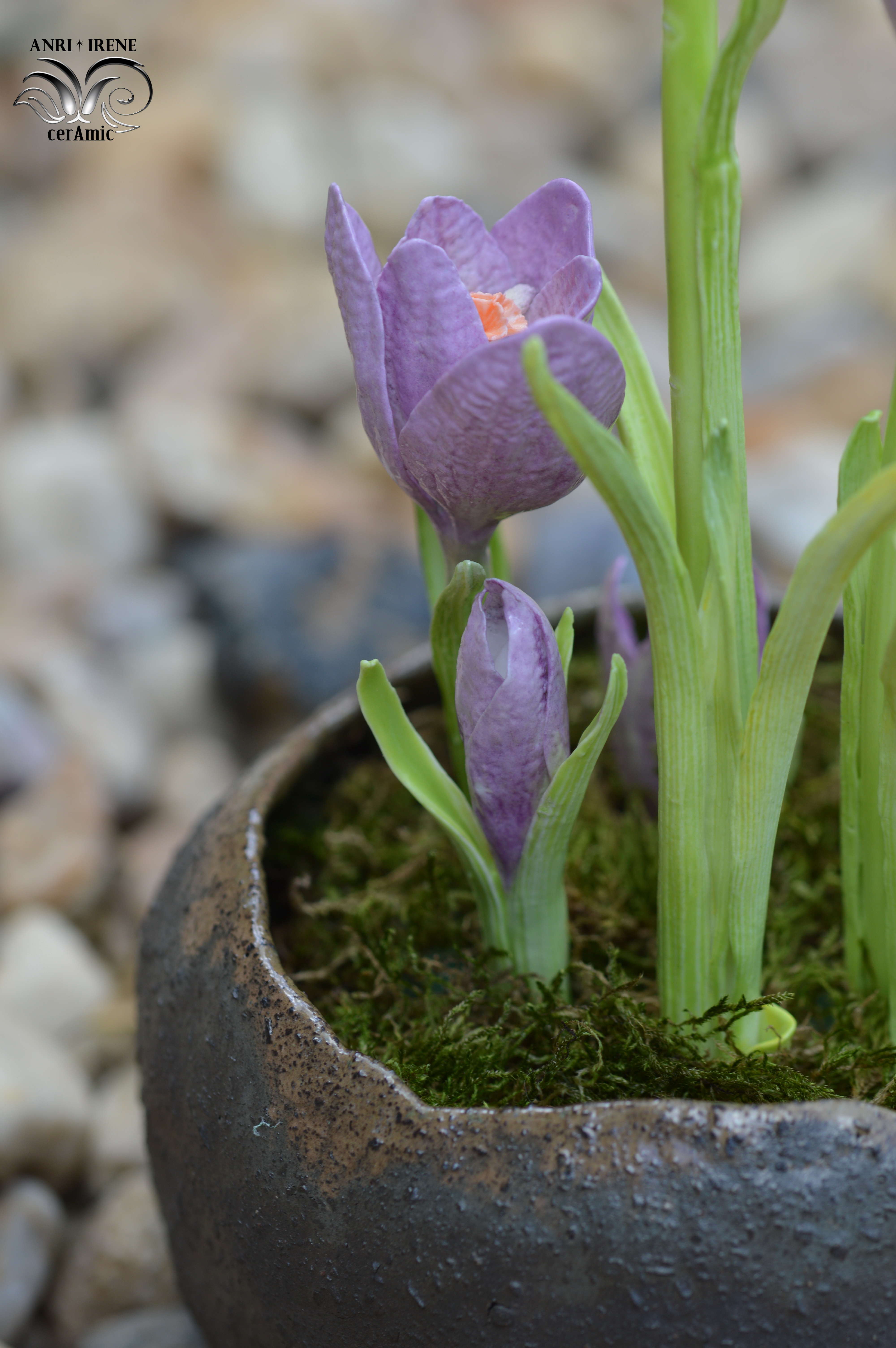 Porcelain crocus details