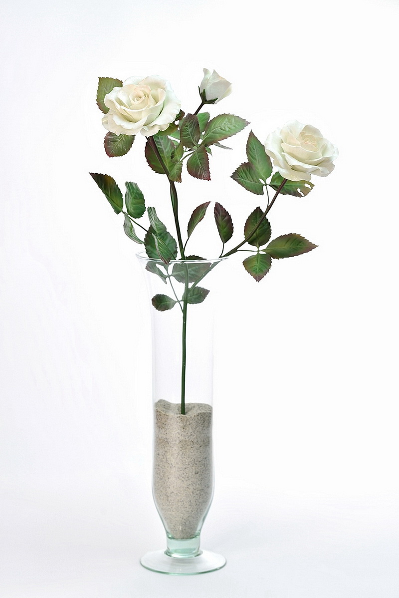 Porcelain peach rose, branch
