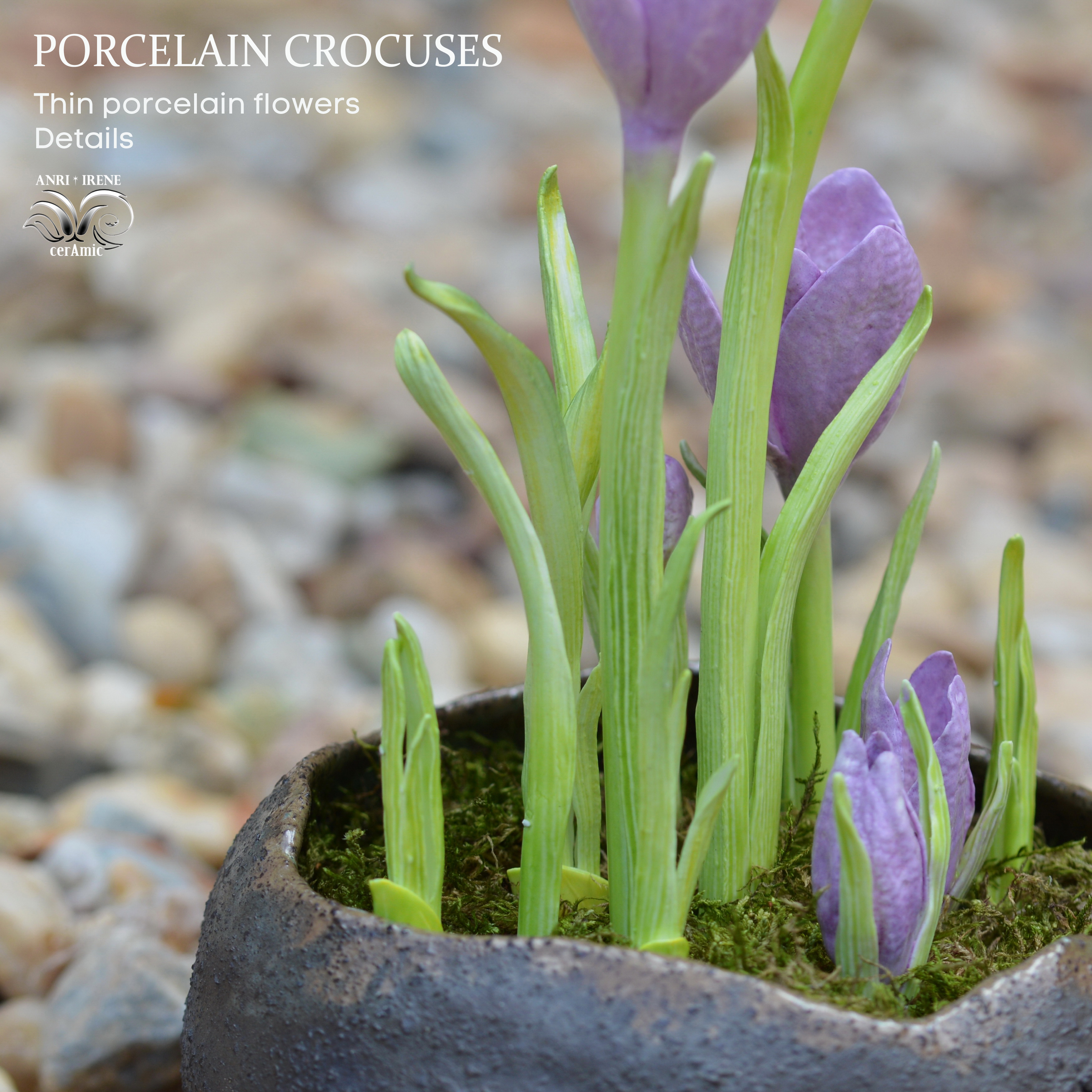 Porcelain crocuses details