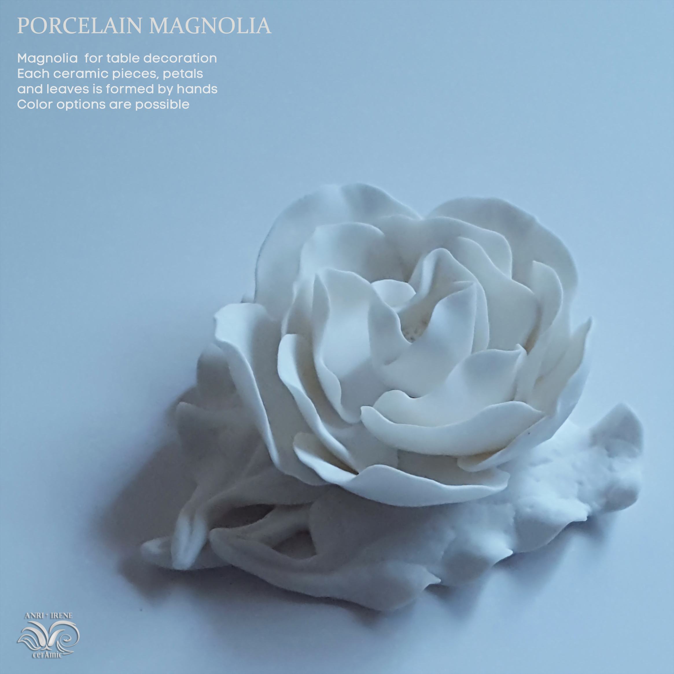 Porcelain white magnolia