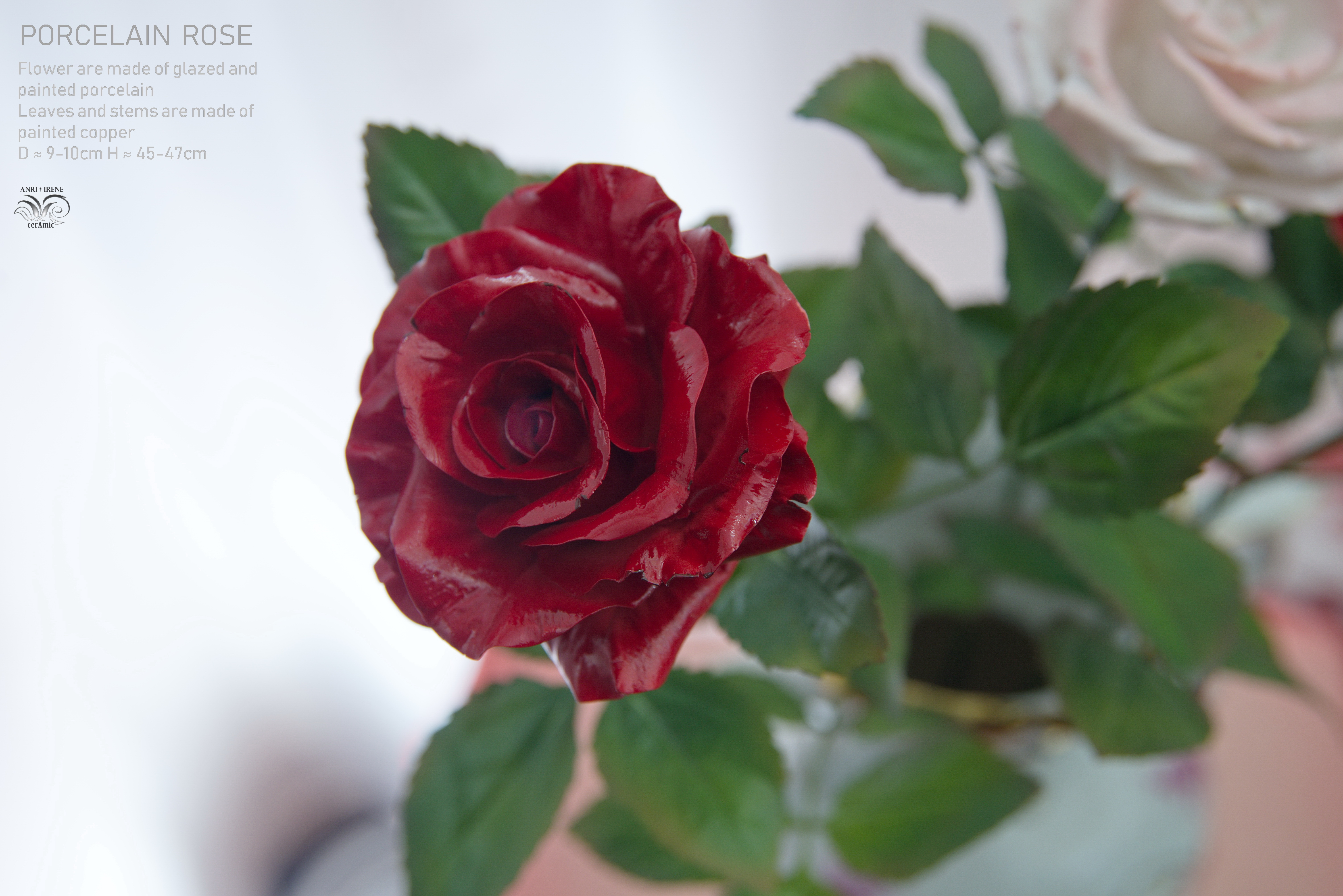 porcelain rose