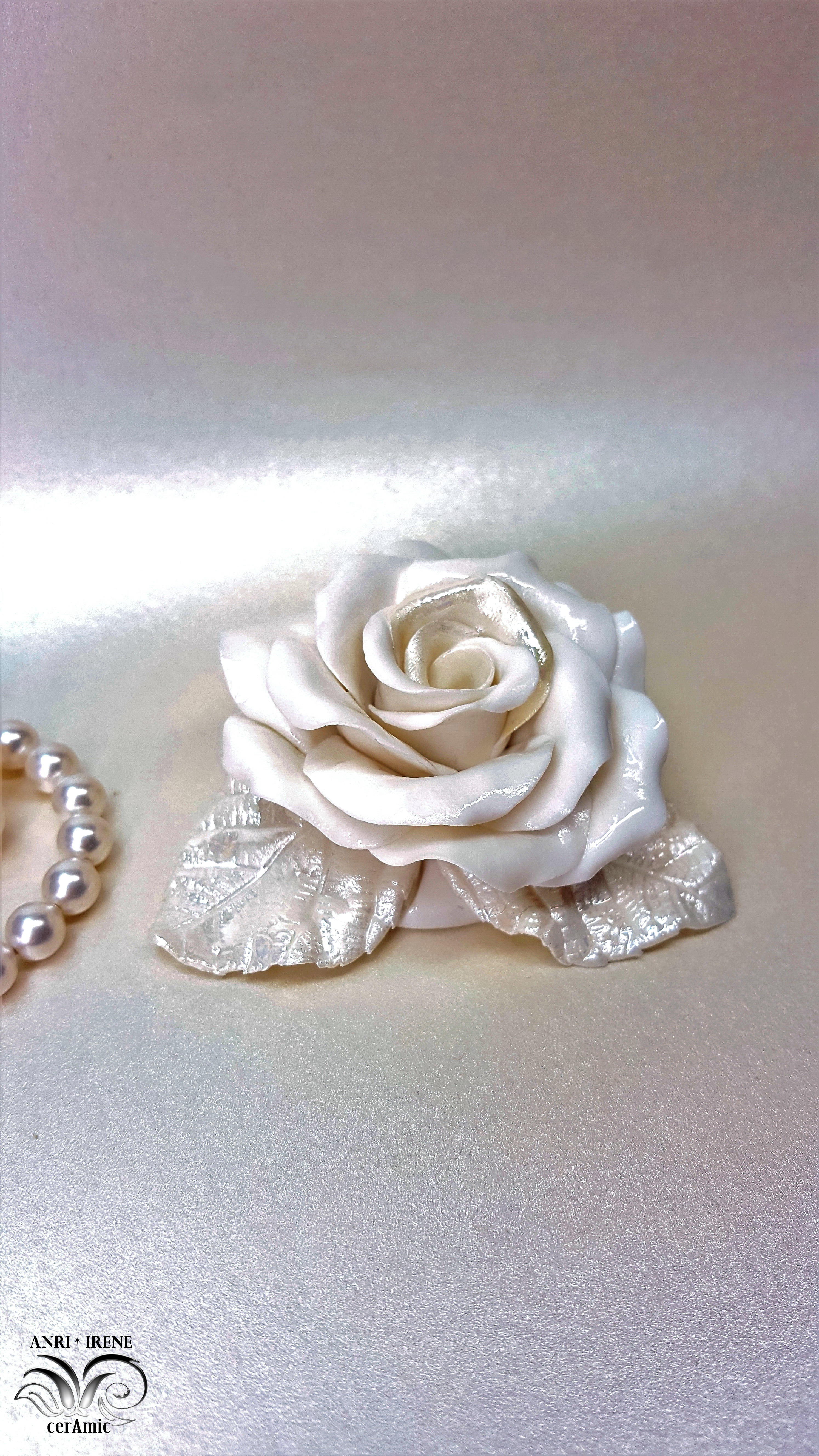rosa de la porcelana