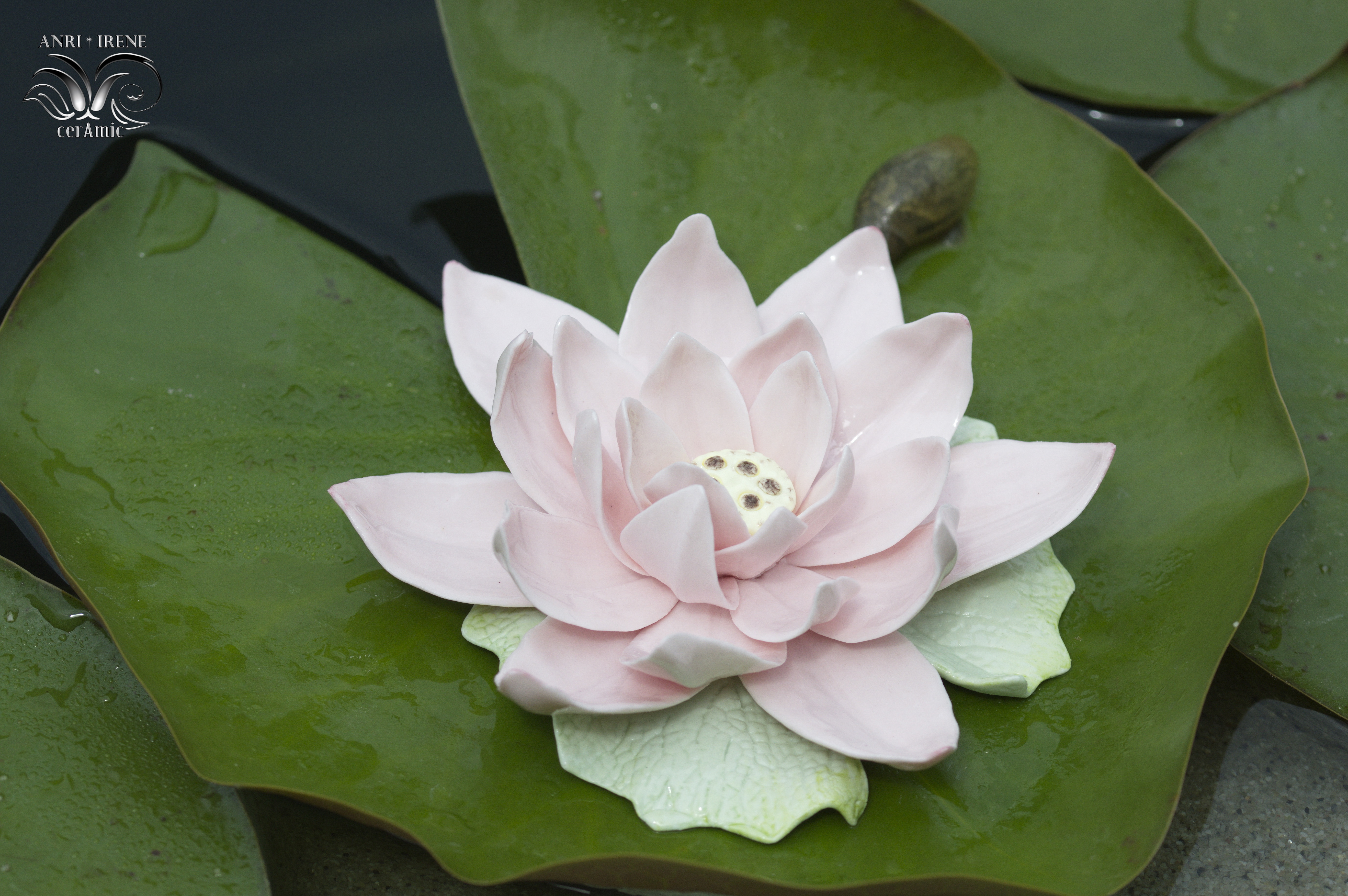 Ceramic porcelain lotus