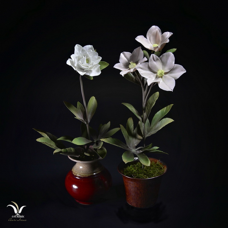 Porcelain hellebores