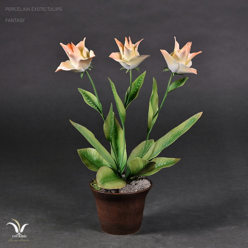 Porcelain exotic tulips