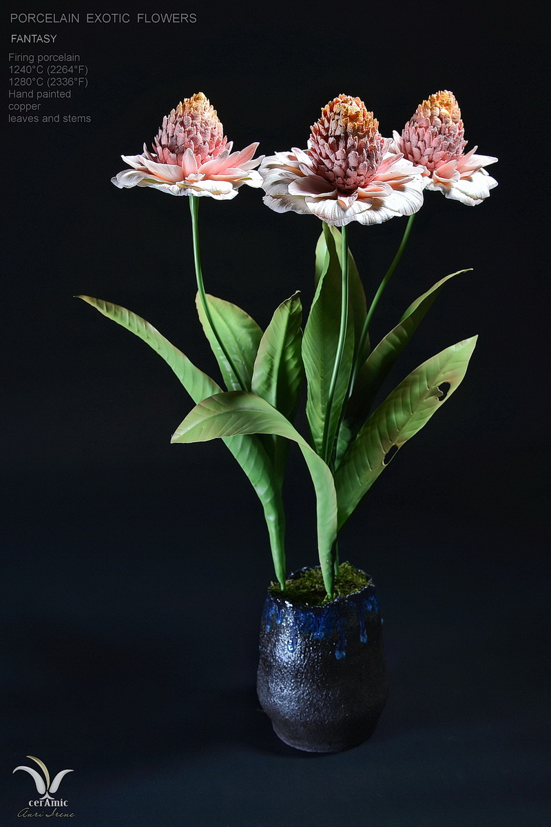 Porcelain exotic flowers "Pompon"