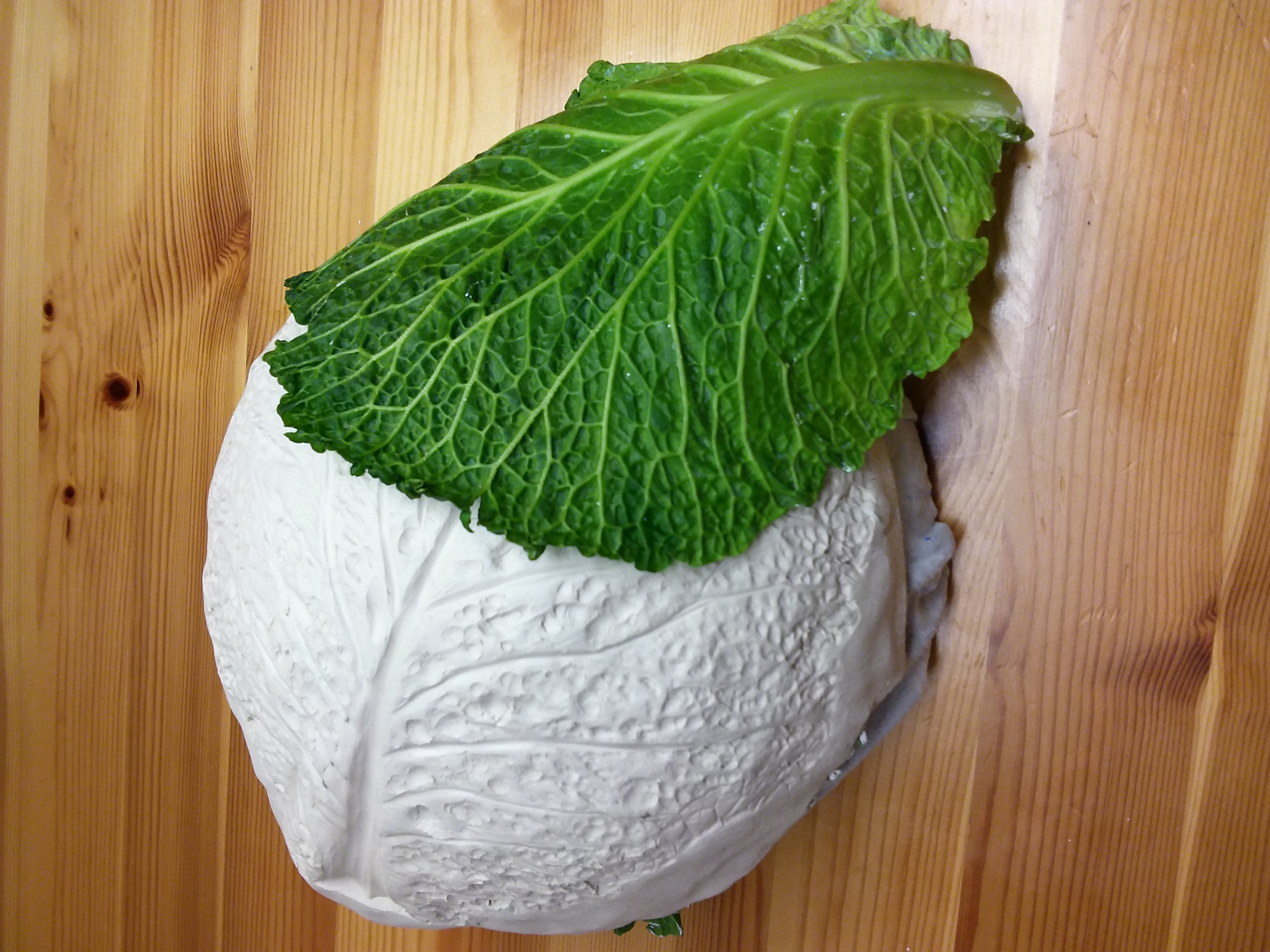 Cabbage moulds