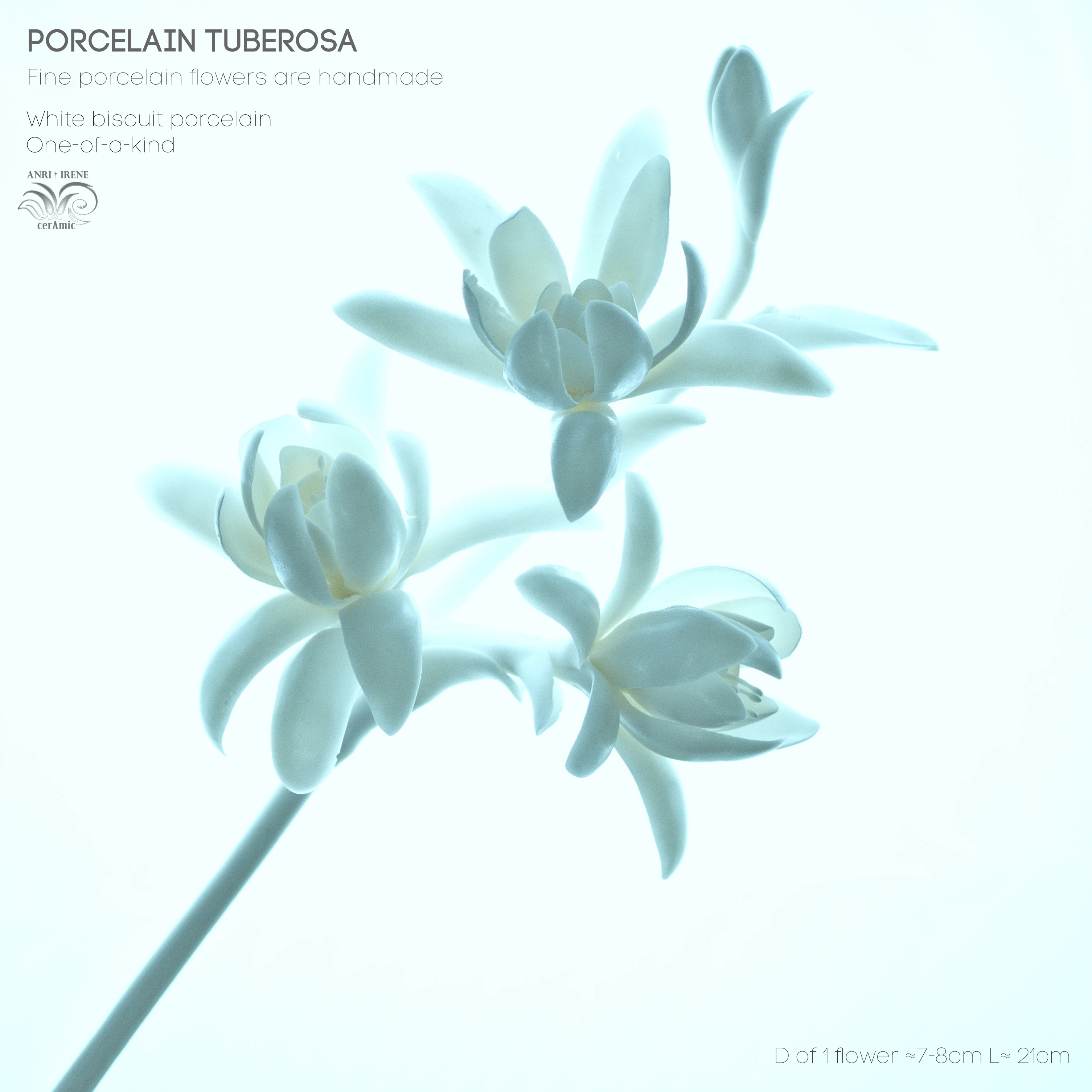Porcelain flower tuberosa