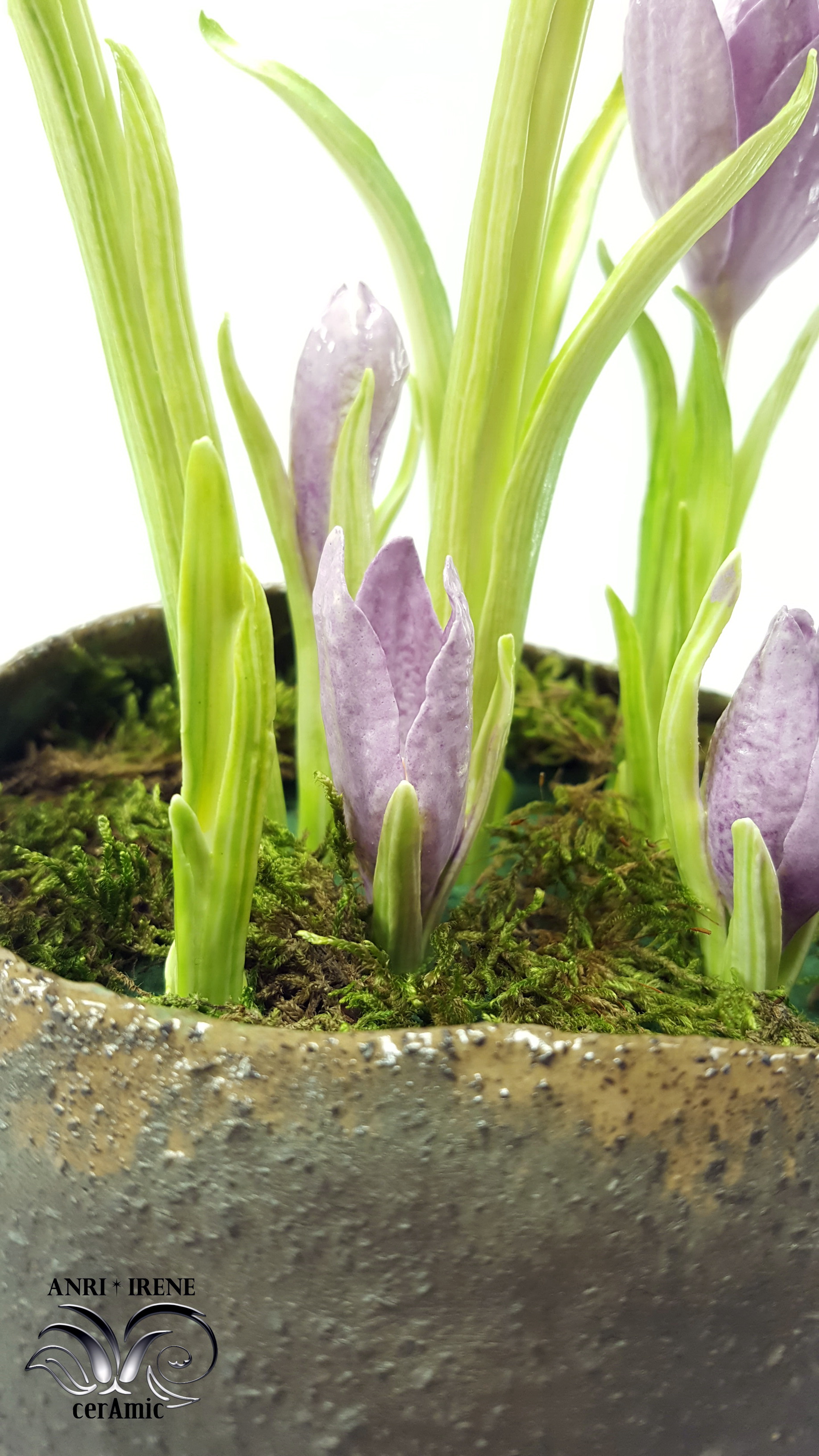Porcelain ceramic flowers