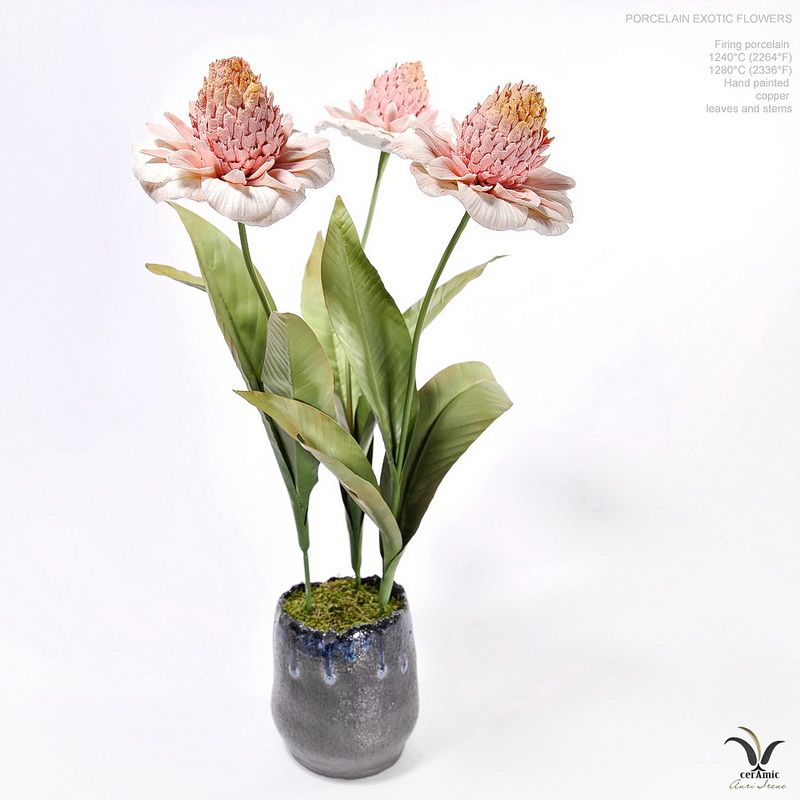 Porcelain exotic flowers