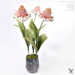 Porcelain exotic flowers