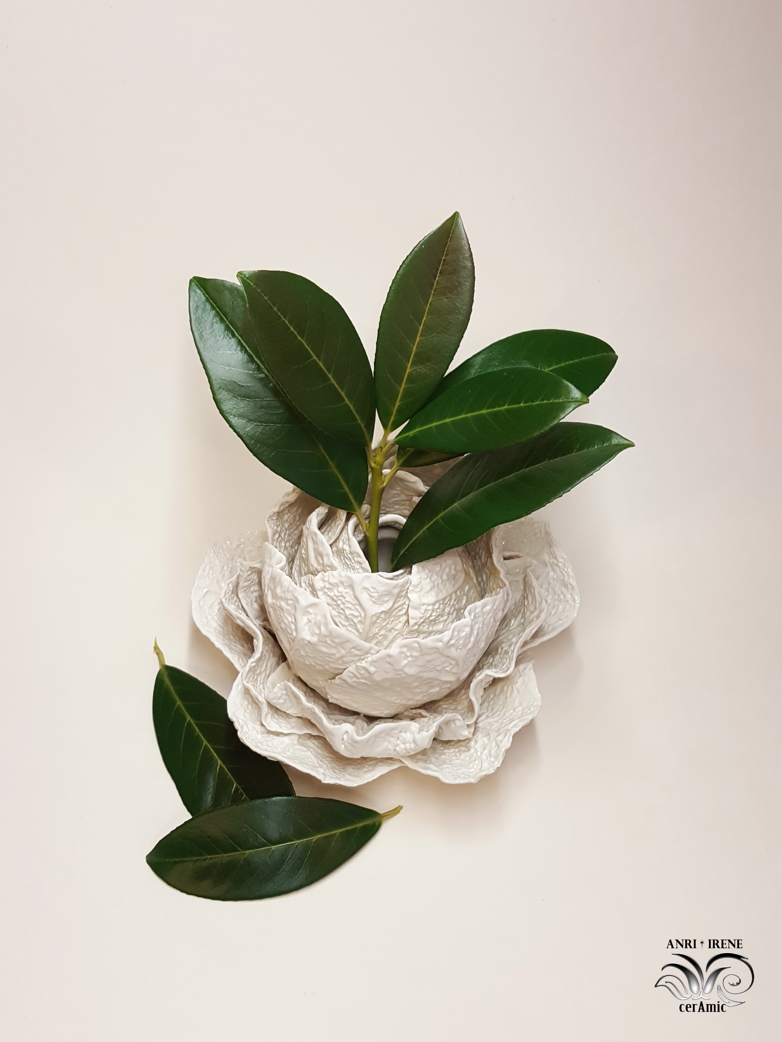Cabbage vase porcelain