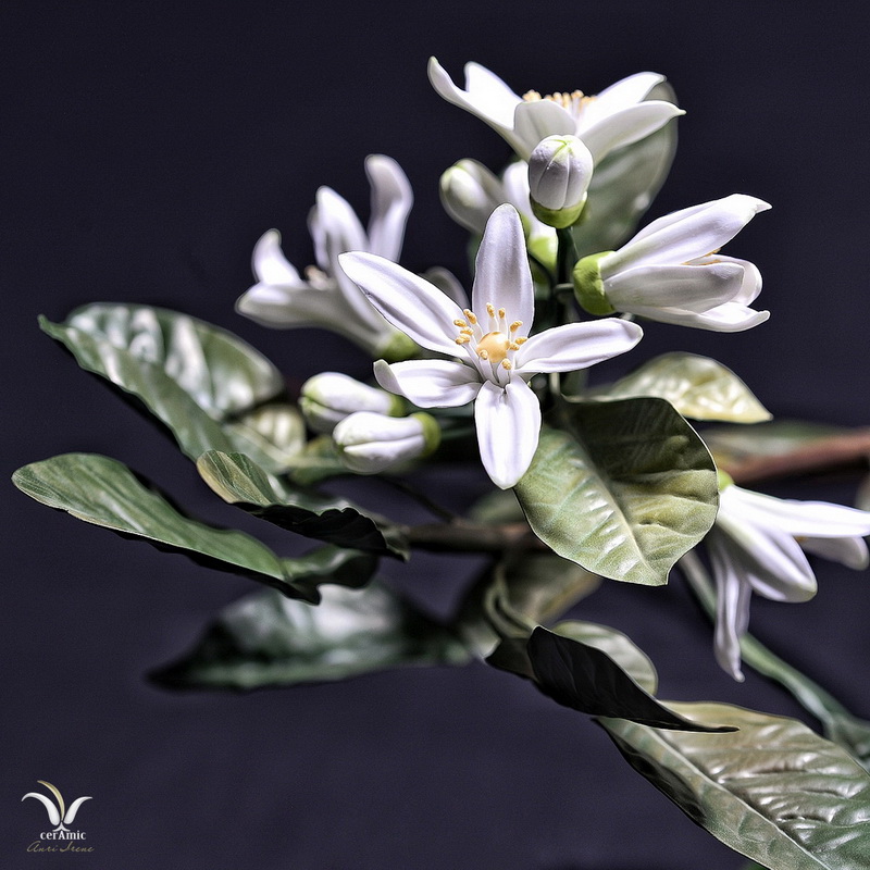 Porcelain citrus flowers