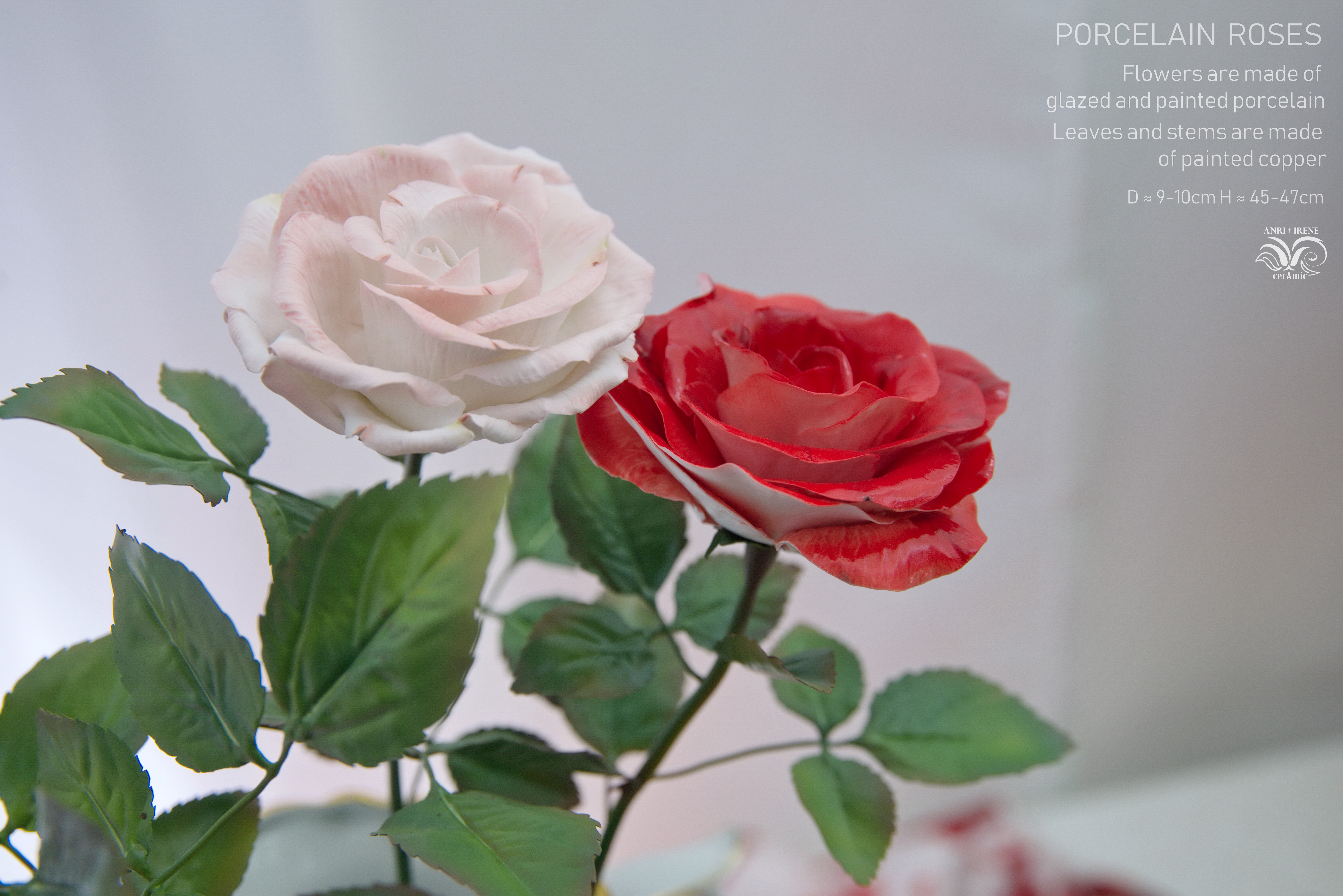 Porcelain roses