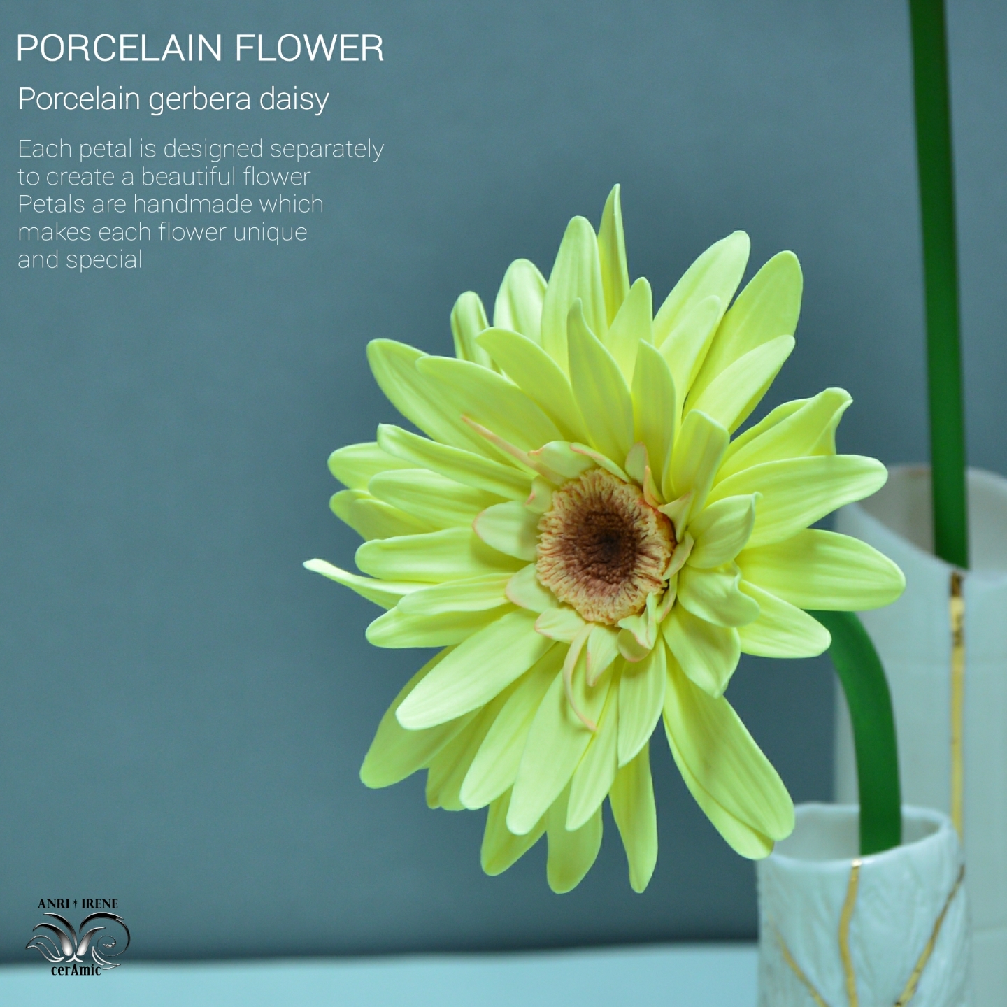 Porcelain gerbera, marguerite