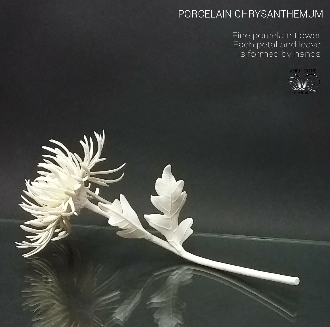 Porcelain colden daisy