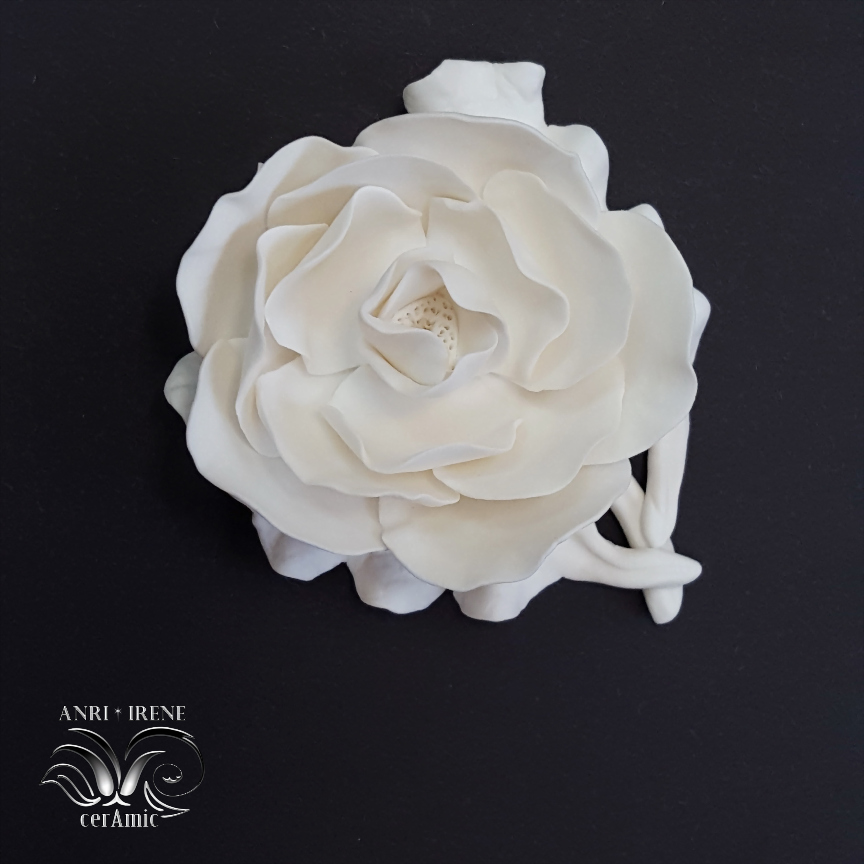 Flower porcelain magnolia