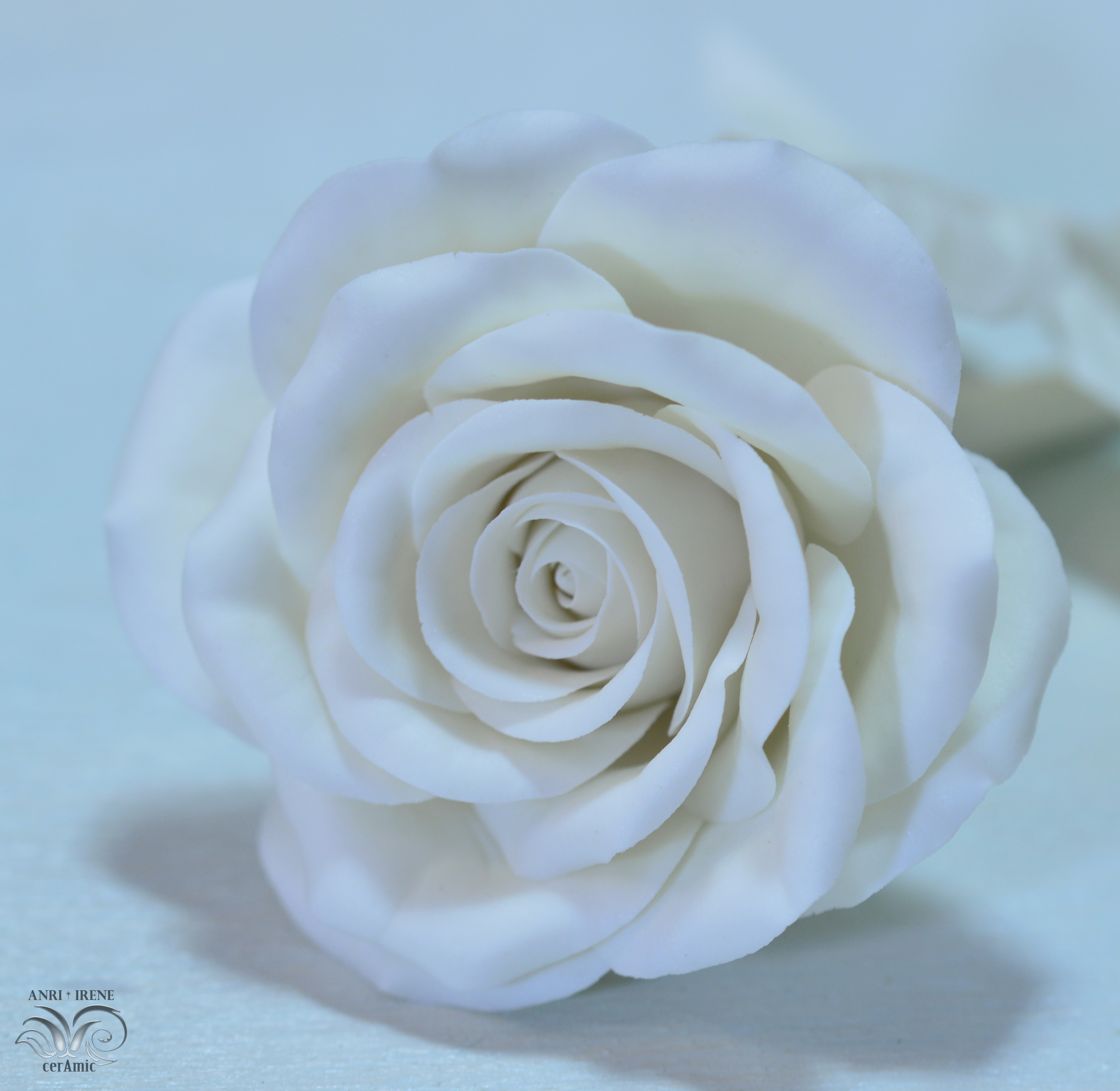 Fine porcelain flower