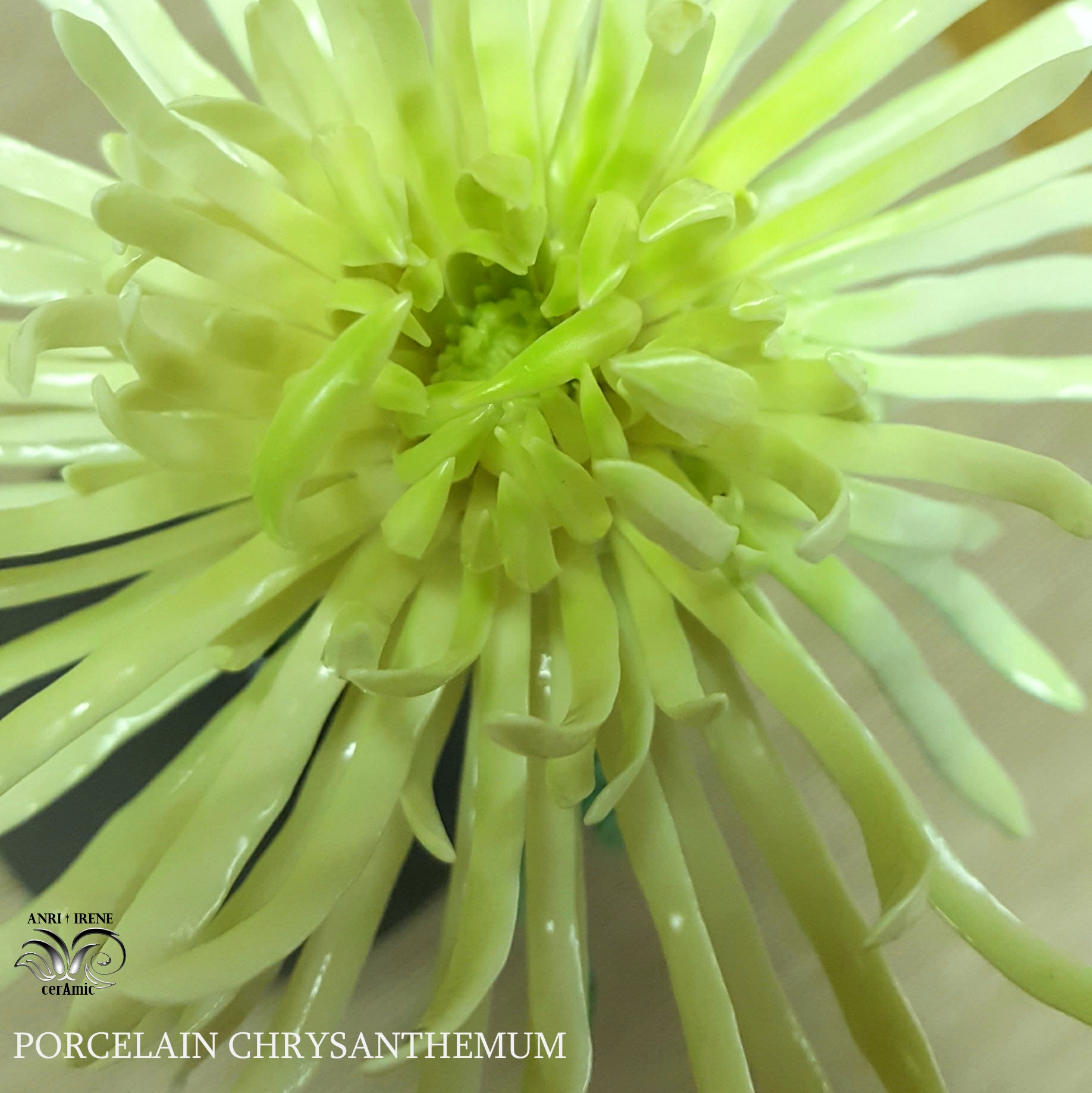 Porcelain chrysanthemum, details