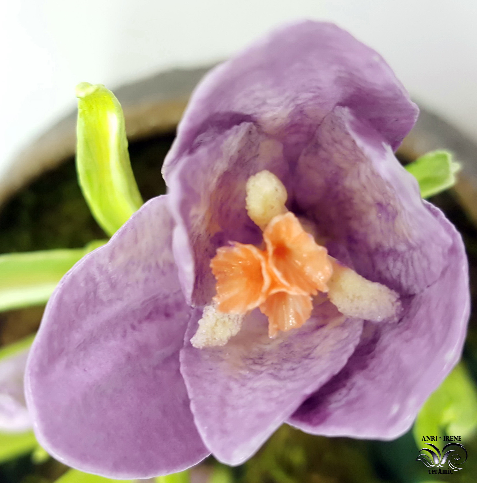 Ceramic floral crocus