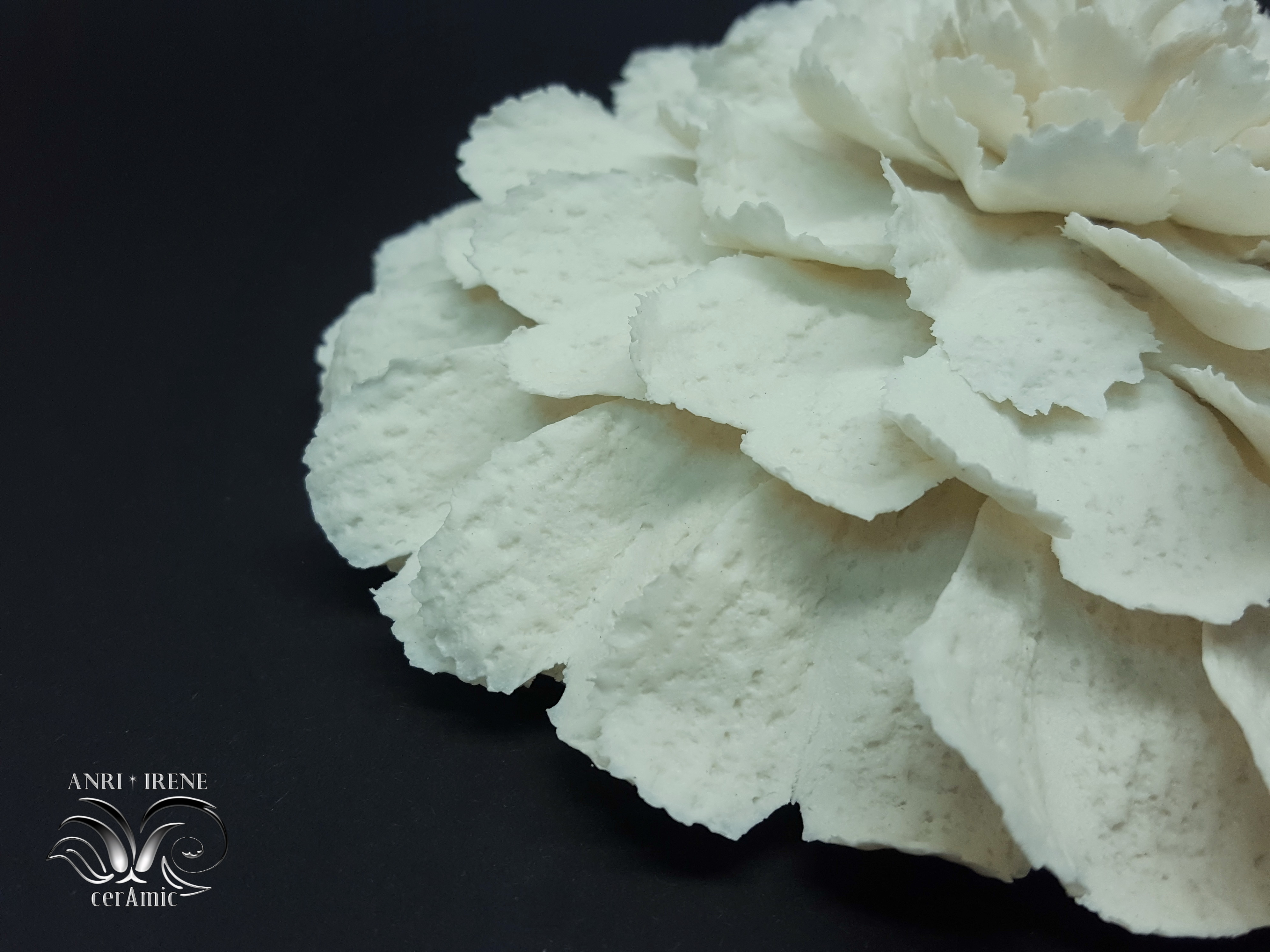 porcelaine fleur