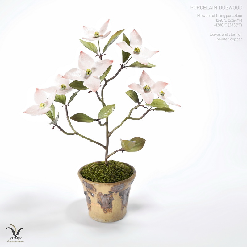 Porcelain flower dogwood