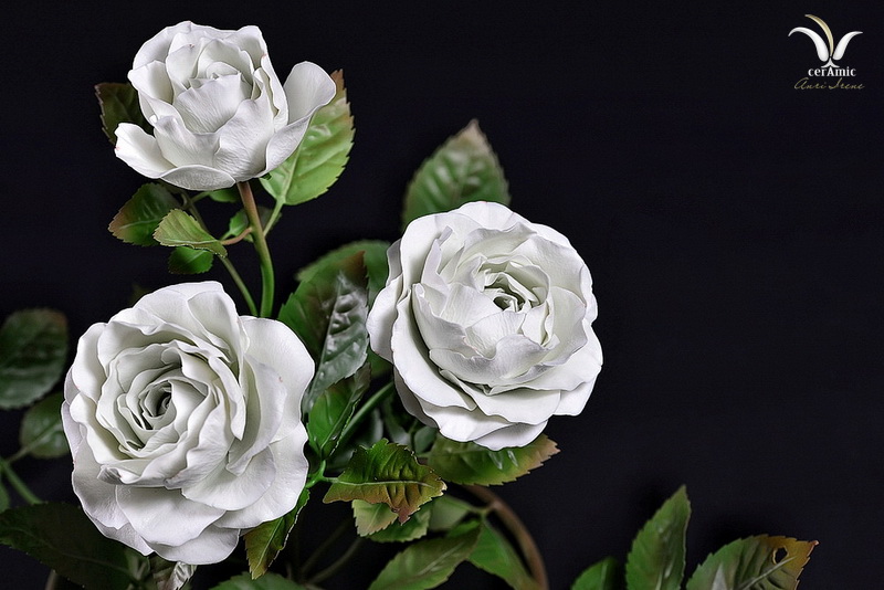 Porcelain white roses