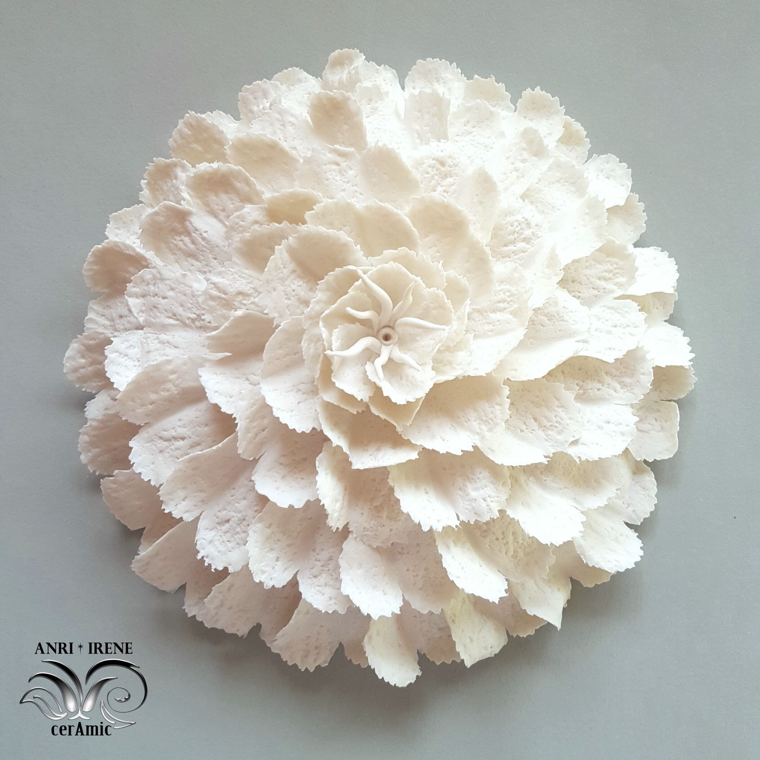 porcelain sea flora