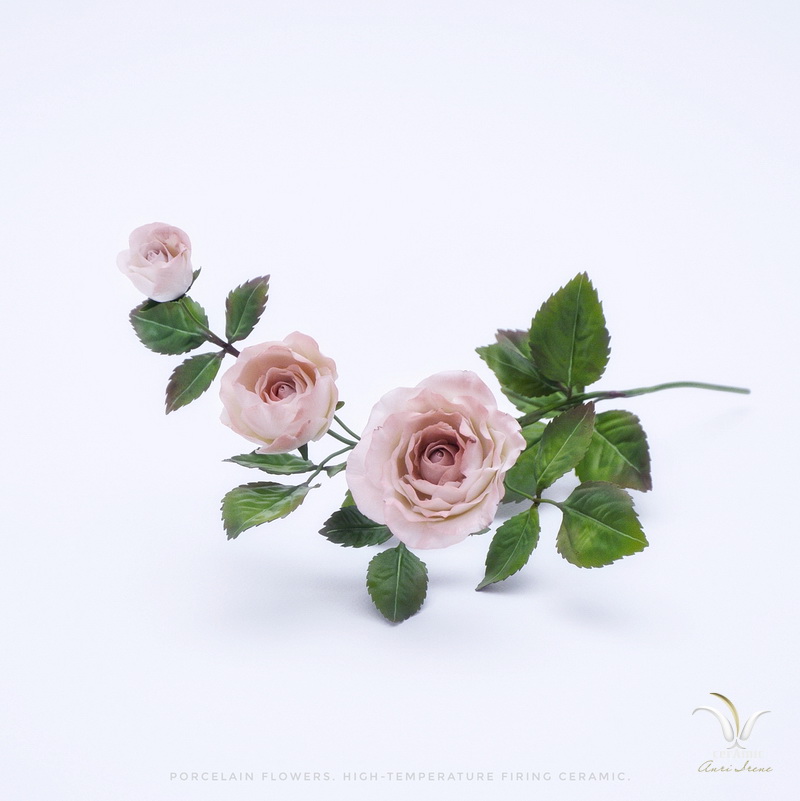 Porcelain roses