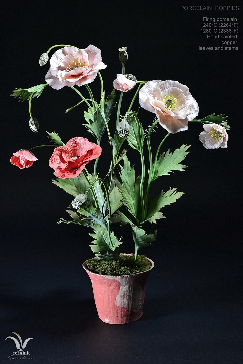 Porcelain poppies