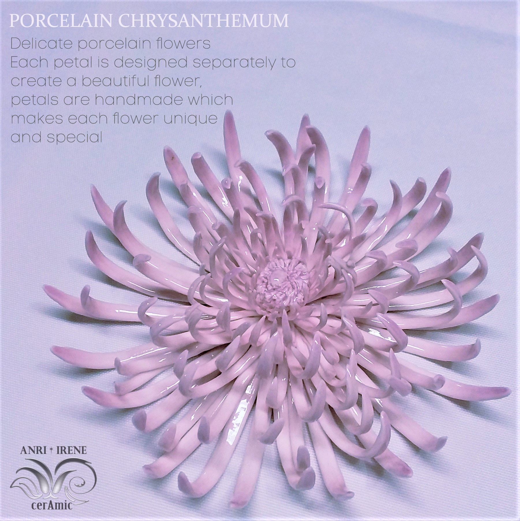 Porcelain chrysanthemum ceramic