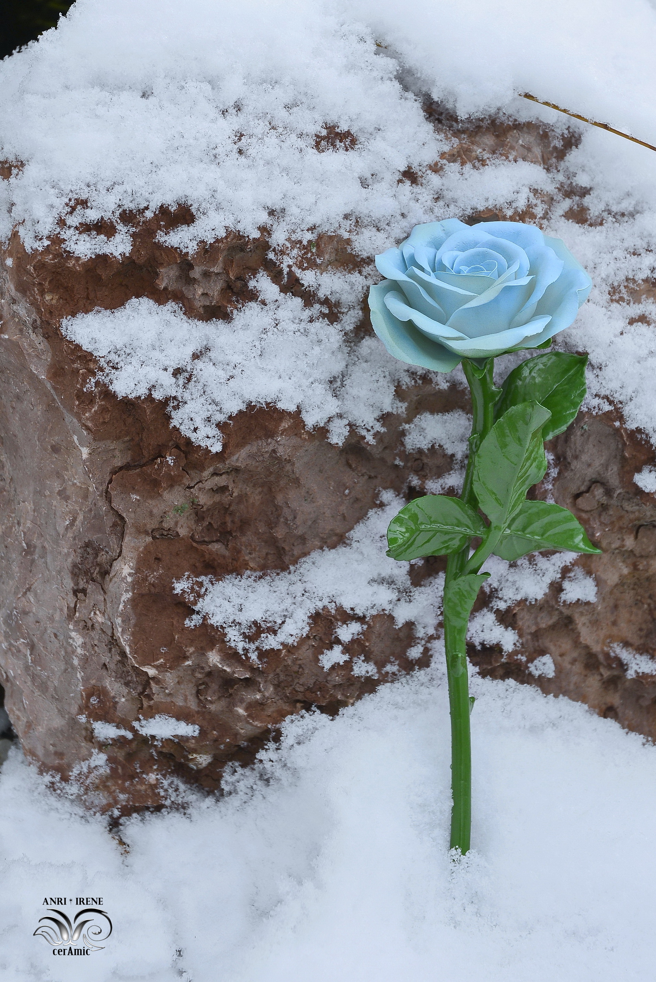 Porcelain blue rose