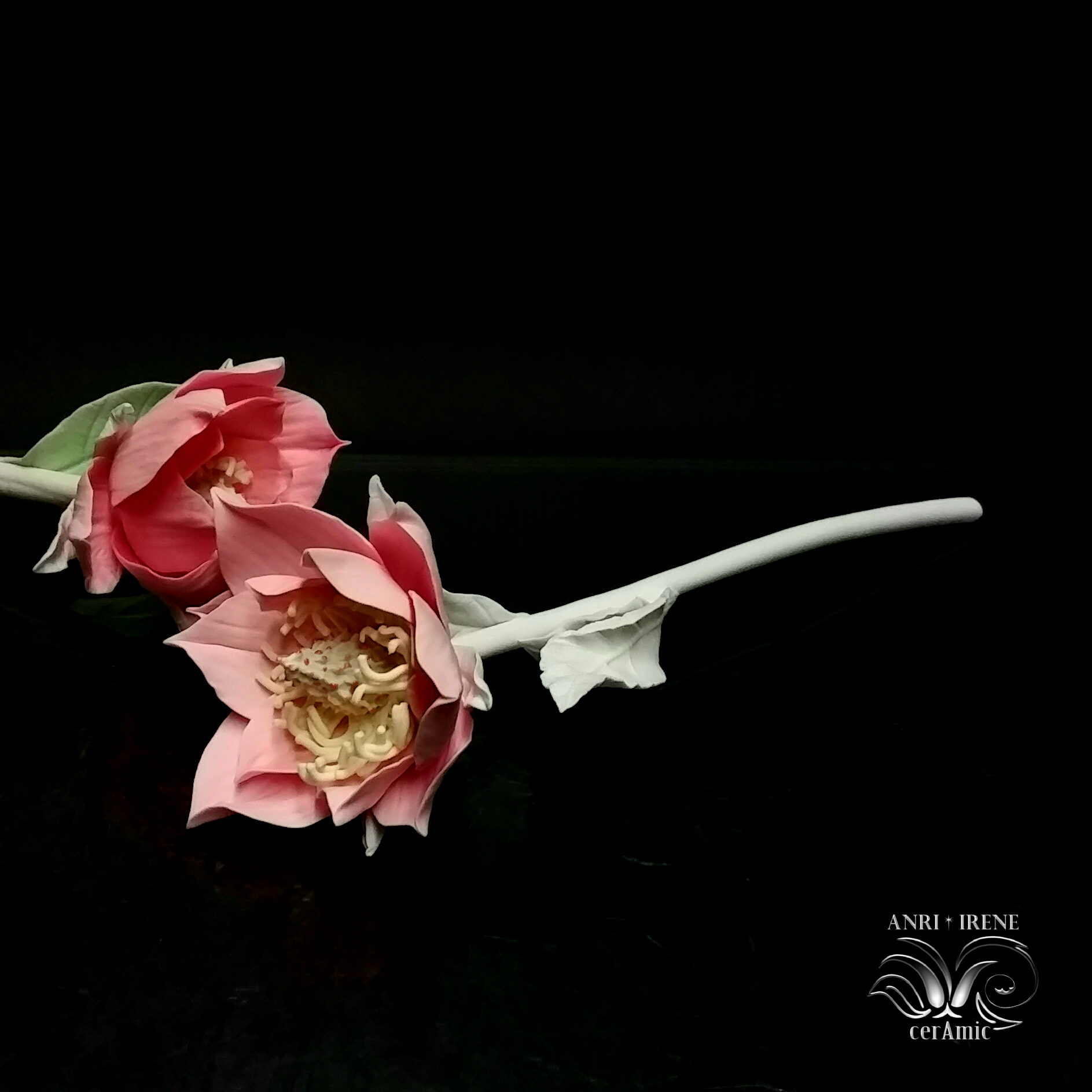Porcelain magnolia, ceramic magnolia
