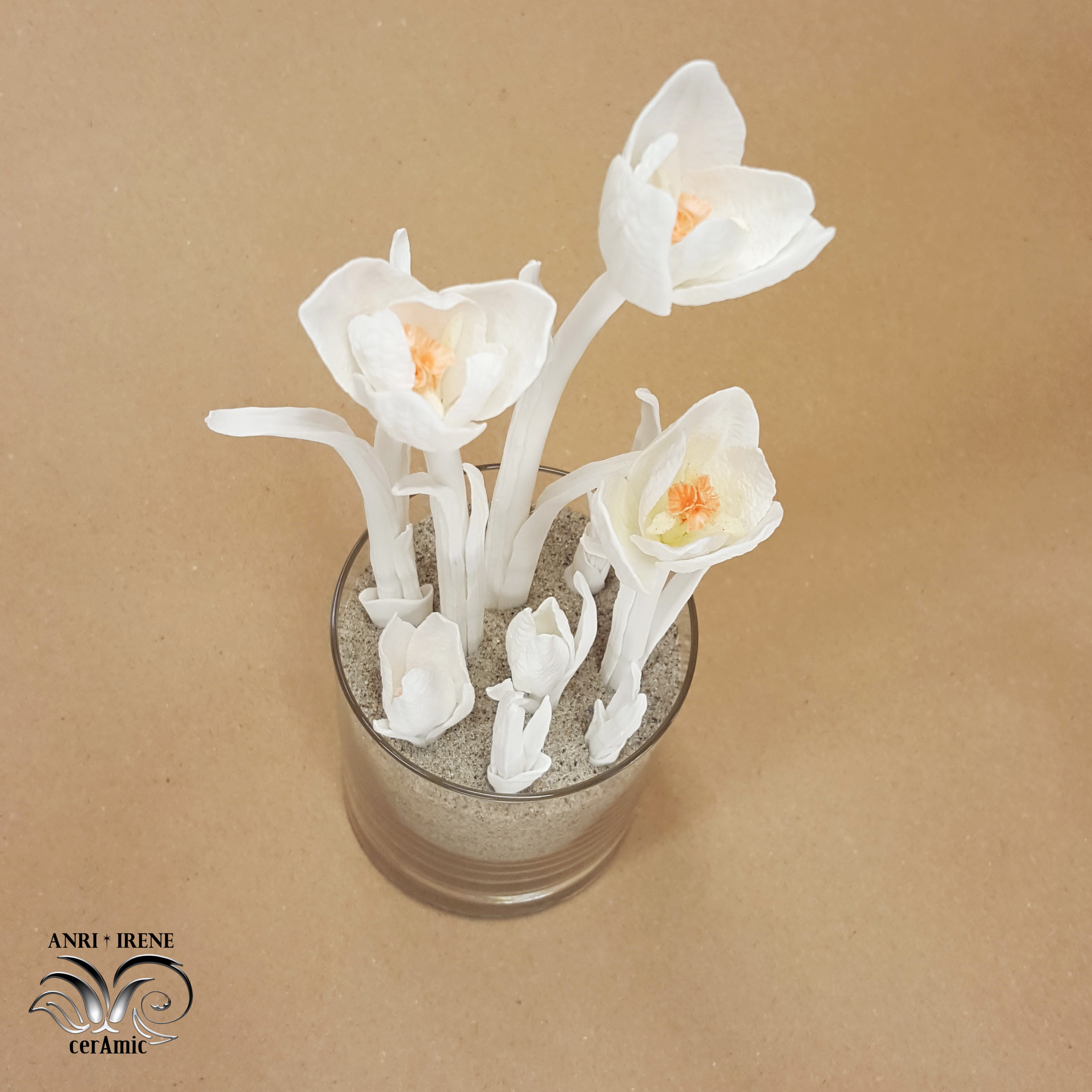 Porcelain crocus